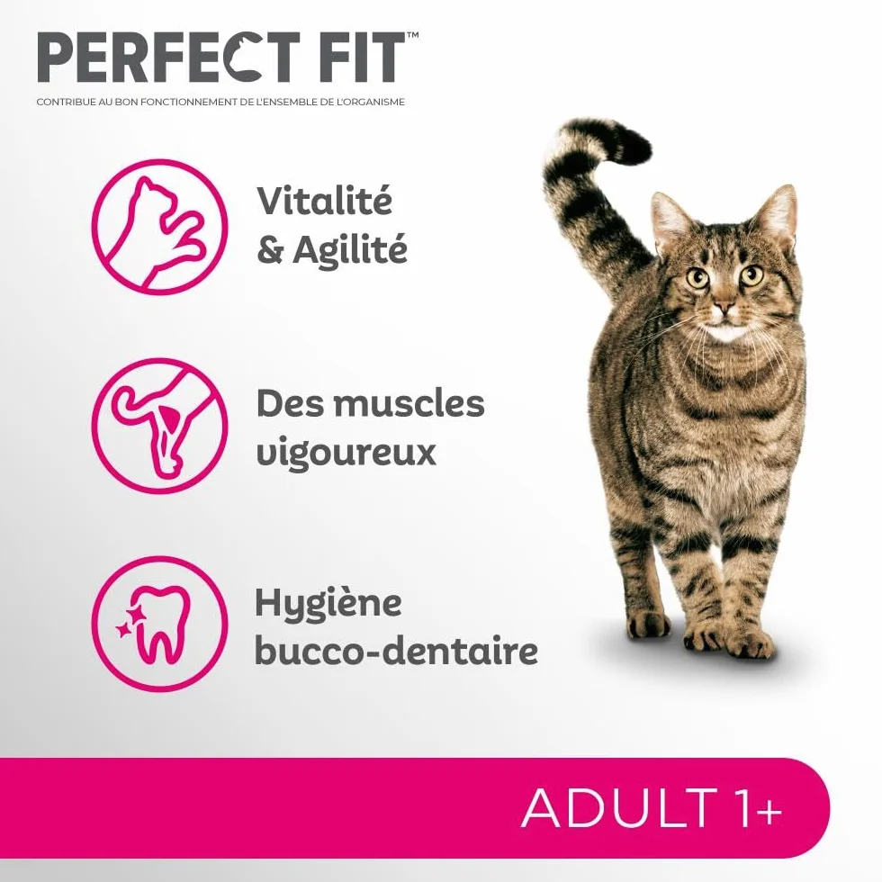 PERFECT FIT Adulte 1+ Croquettes chat stérilisé Saumon 1,4 kg Lot de 5