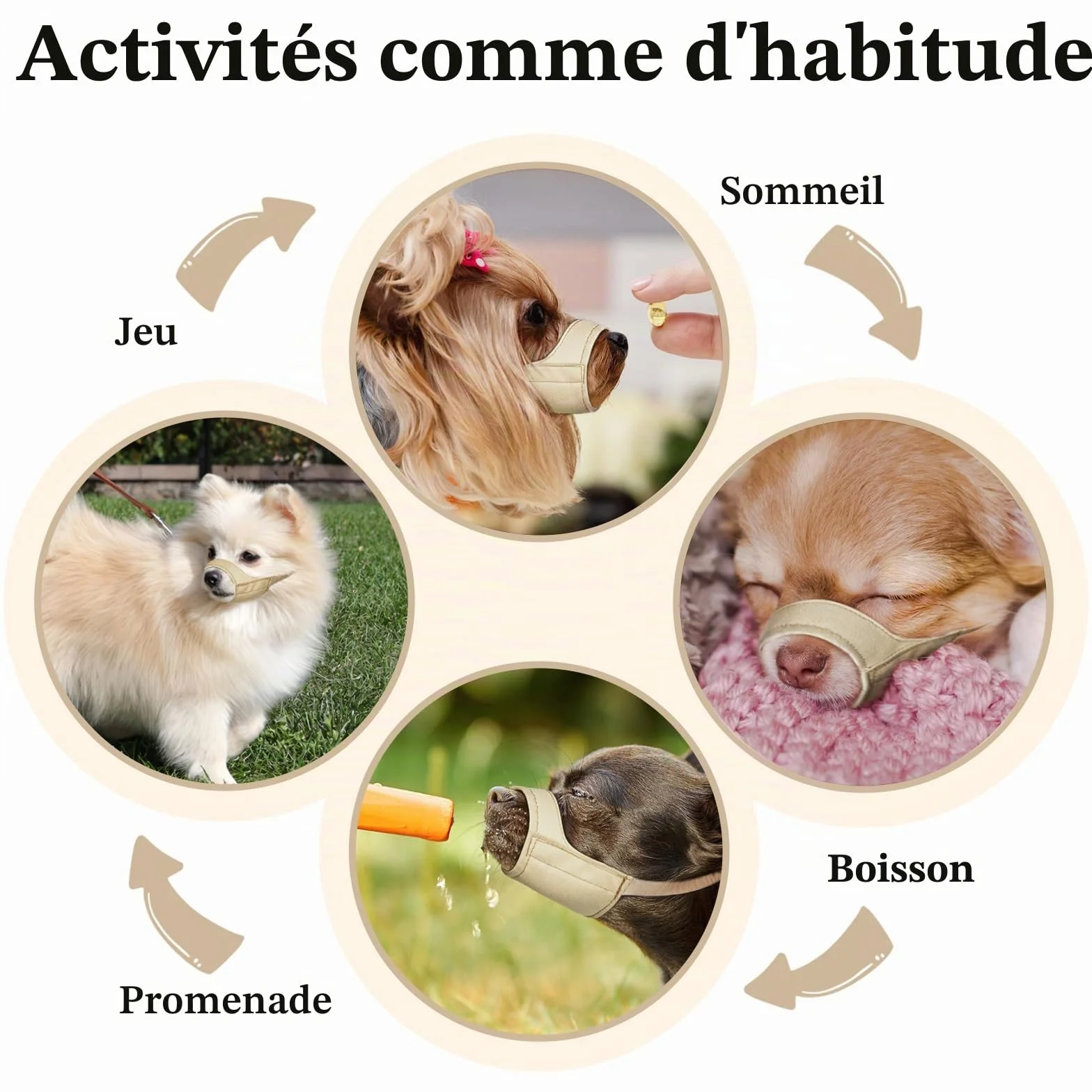 Mayerzon Muselière à museau Court pour Chihuahua, Shih tzu, Boxeur américain, muselière en Tissu Doux pour Le toilettage des visites vétérinaires, empêche Les morsures et Les Combats