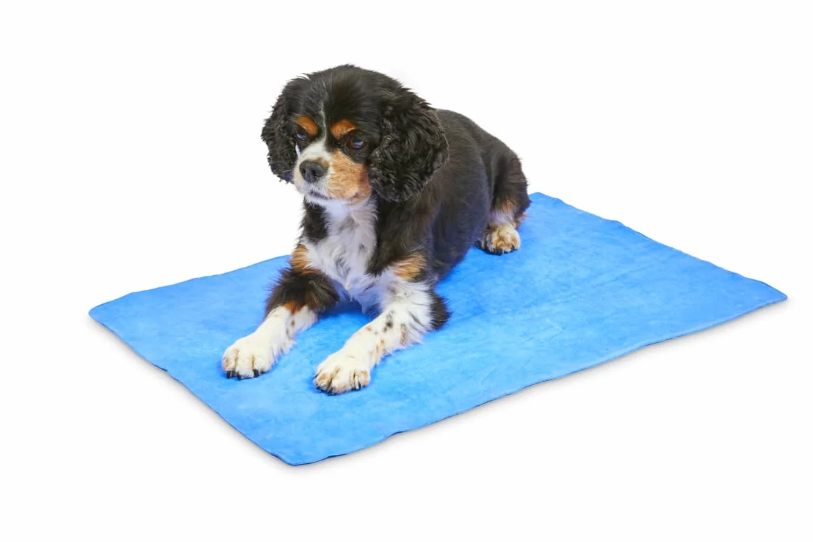 Petface Serviette rafraîchissante pour Animal de Compagnie Bleu 66 x 43 cm