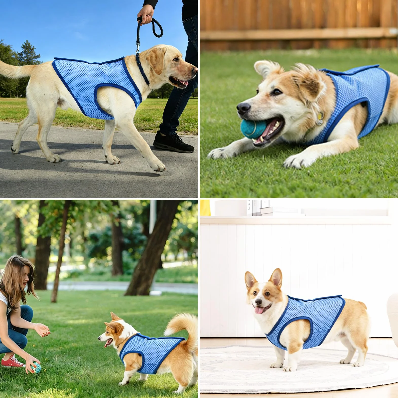 Veste de Refroidissement pour Chien Respirante été, Gilet Rafraichissant Chien, Style sans Manches Frais et Confortable, Manteau Rafraichissant pour Chien, Accessoires Généraux (XL)
