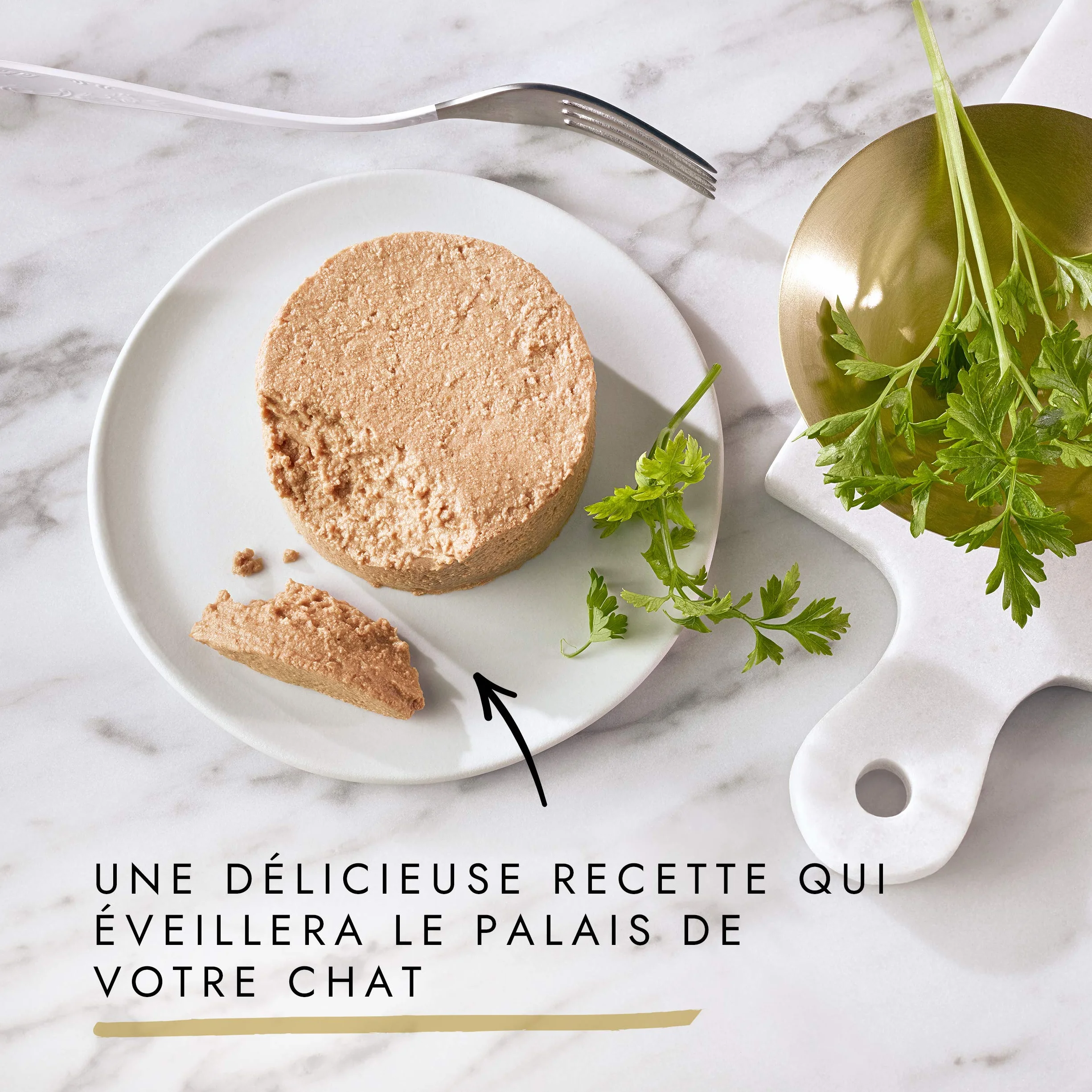 GOURMET GOLD Chat Les Mousselines Aliment Complet pour Chat Adulte Lapin Bœuf Veau Agneau Boite Lot de 4 (24x 85 g)