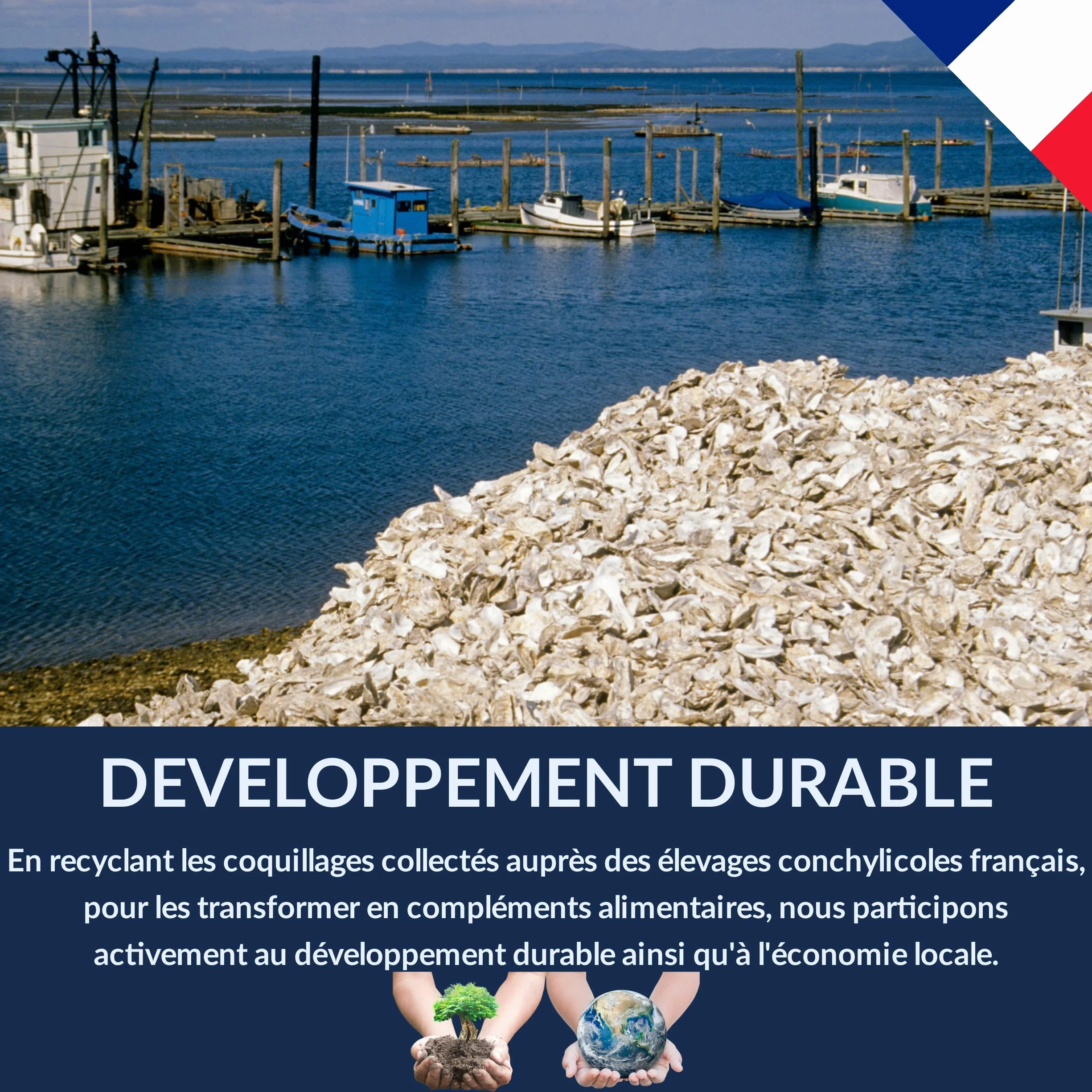 Chick'N Deluxe® Grit Deluxe 5kg Complément Alimentaire Pigeons Volailles Minéraux Charbon Actif Anis Digestion Coquille d'oeuf
