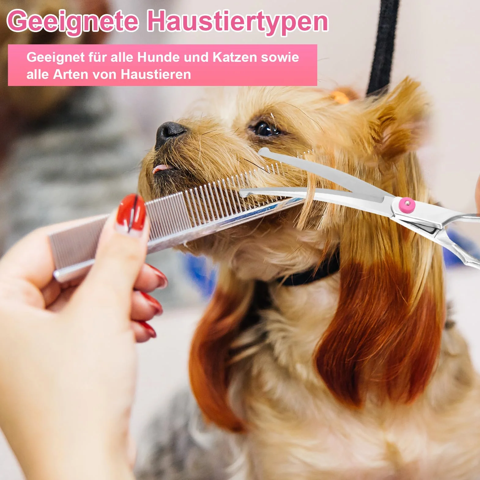 Jostift Ciseaux de toilettage pour chien et chat - Ciseaux incurvés - Ciseaux ronds professionnels - Ciseaux de toilettage pour chat et autres animaux de compagnie - Rose