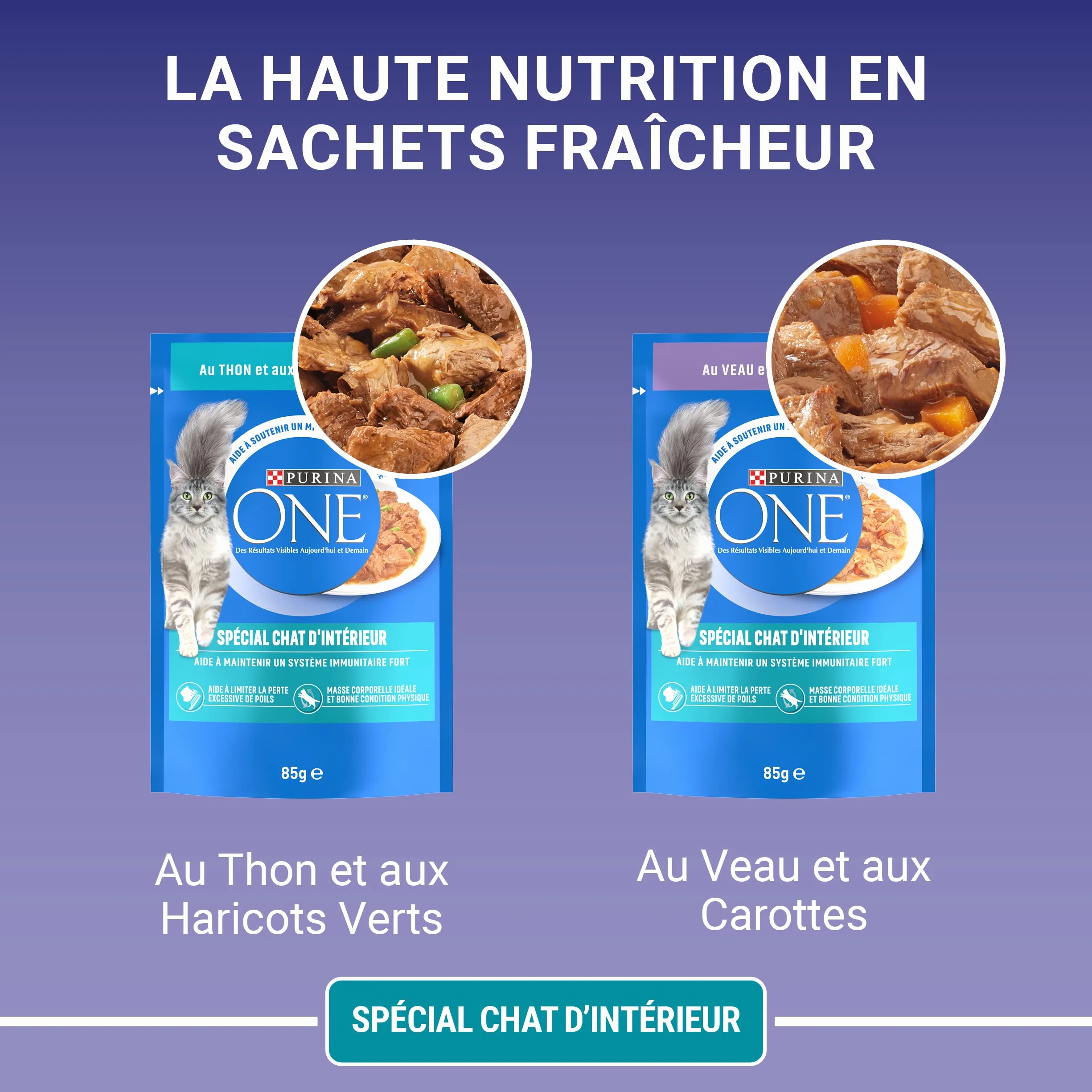 PURINA ONE BIFENSIS Spécial Chat Stérilisé d'Intérieur Effilés en Sauce Thon Veau Sachets Fraîcheur Lot de 12 (4 x 85g)