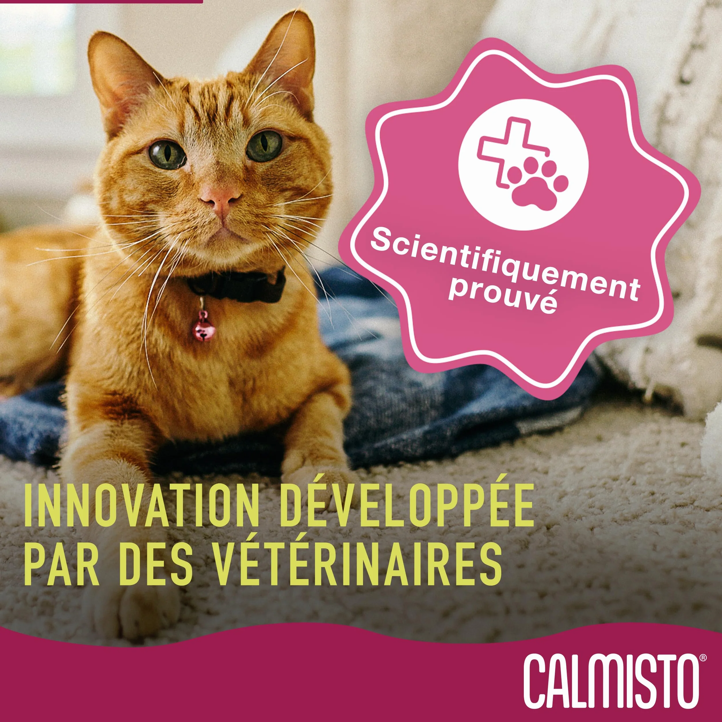 Spray Calmisto Anti-Stress pour Chat 75 ML à Base d'intéromone et de Lavande