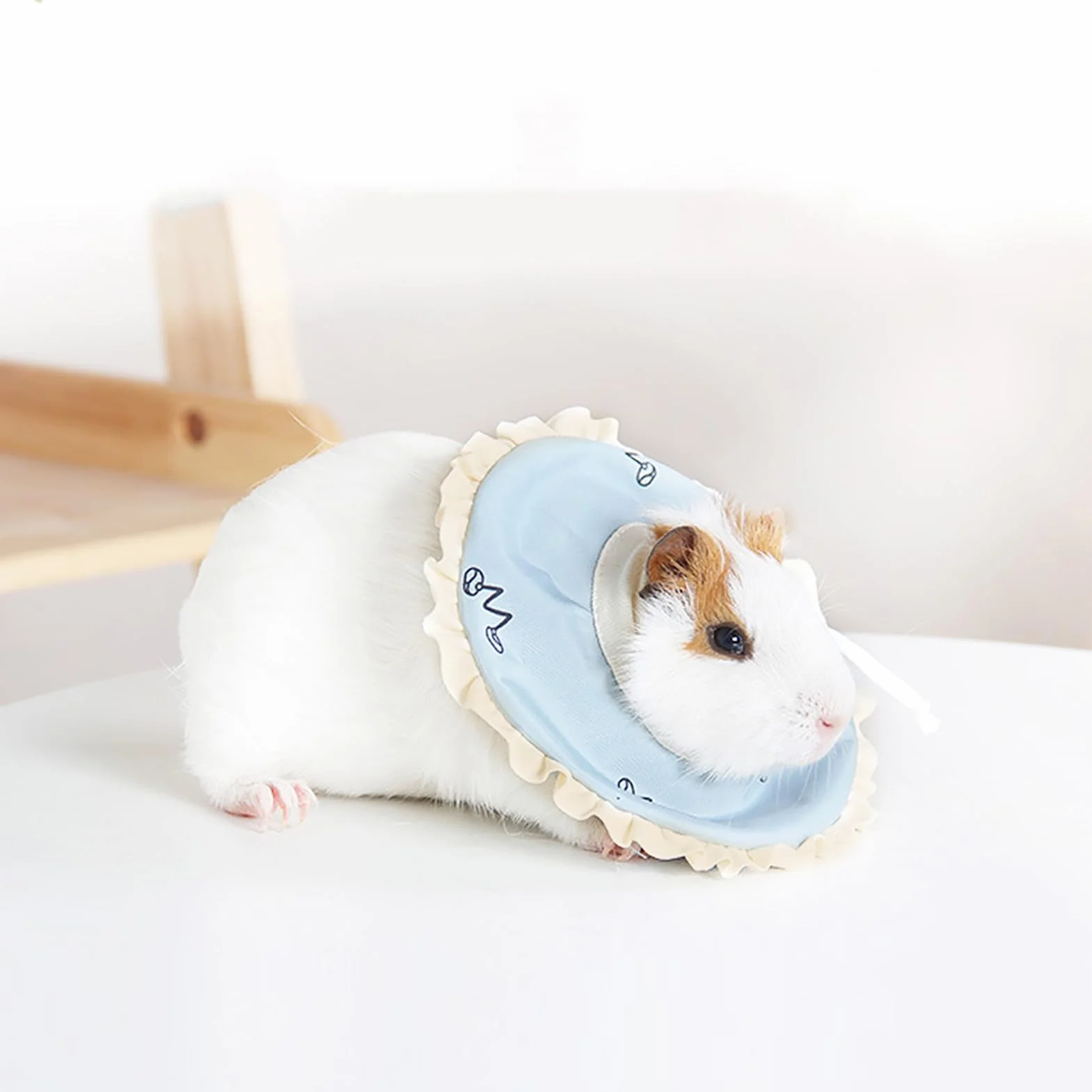 Elizabeth Circle Collier de Protection pour Lapin Cochon d'Inde, Collier de Récupération Réglable pour éviter L'aggravation des Blessures, adapté aux Petits Animaux de Compagnie, en