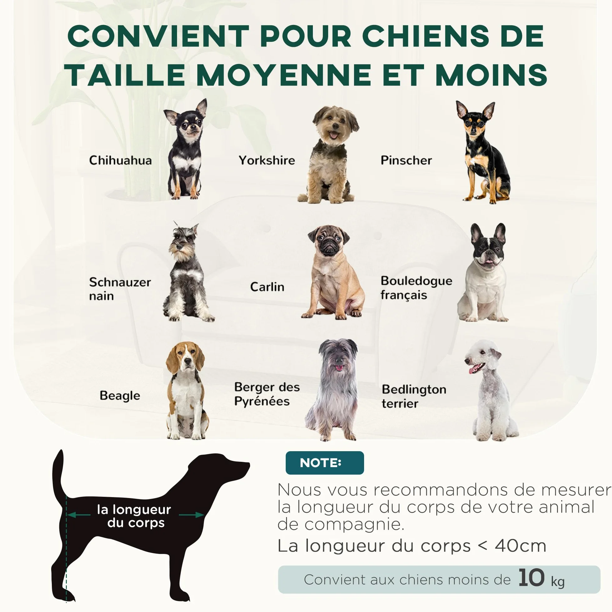 PawHut Canapé pour Chien Chat Dossier capitonné Velours Housse Lavable 74 x 41 x 32,5 cm Gris