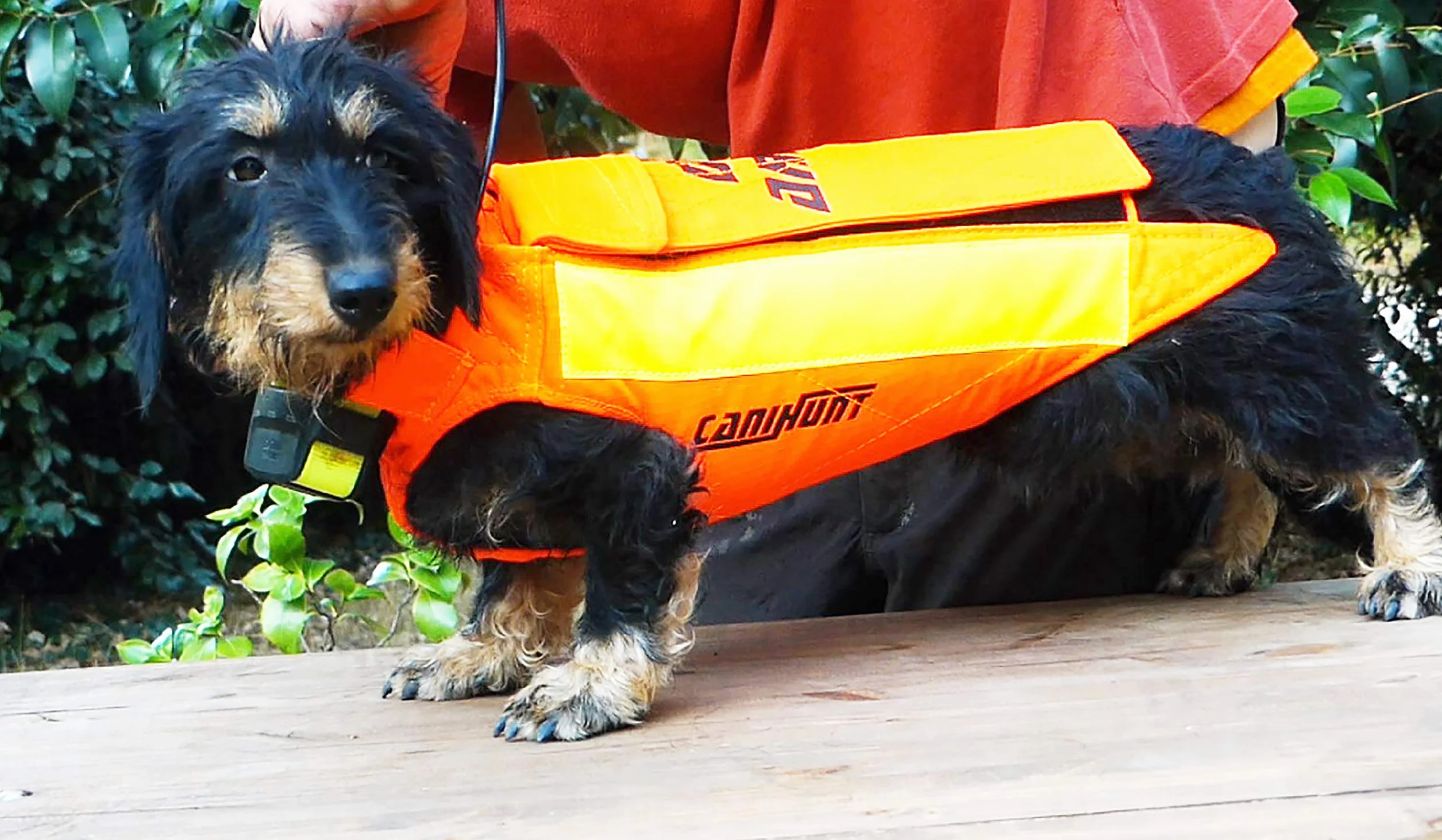 Gilet CANIHUNT Protection Dog Armor Orange V3 Anti Perforation Sangliers pour Chien