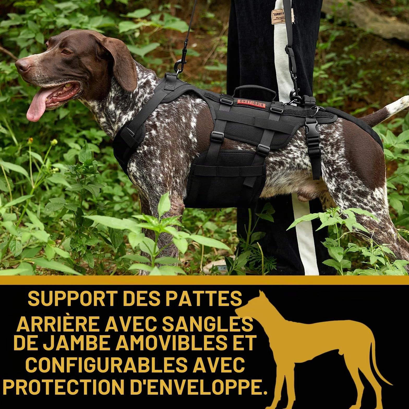 OneTigris Invictus Harnais de Levage pour Chien handicapé, Sangle réglable, 3 poignées, Leggings arrière Amovibles - Noir S