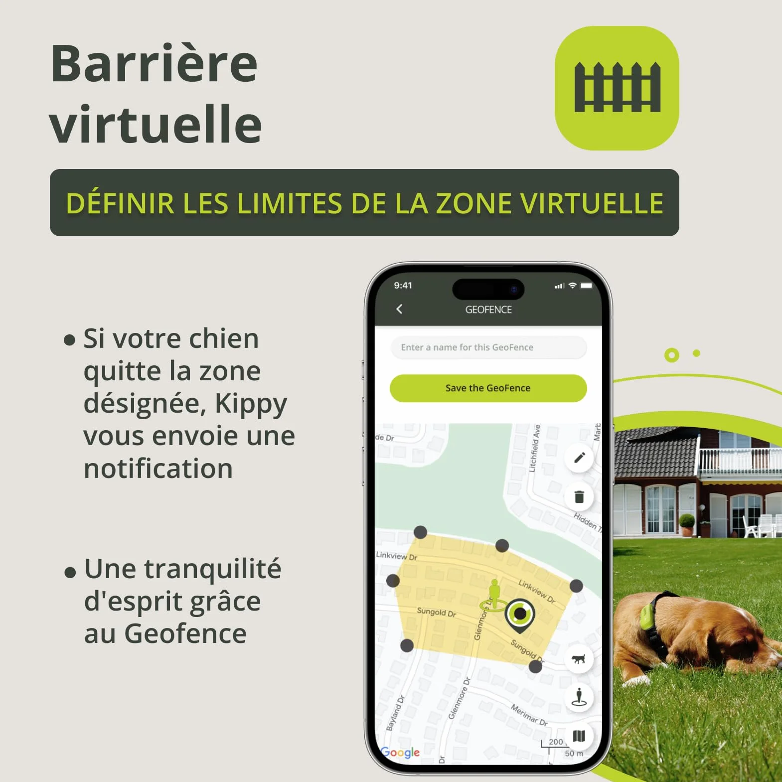 Kippy GPS pour Chiens Traceur étanche avec Collier, Suivi Activité Santé, GEOFENCE, Vert