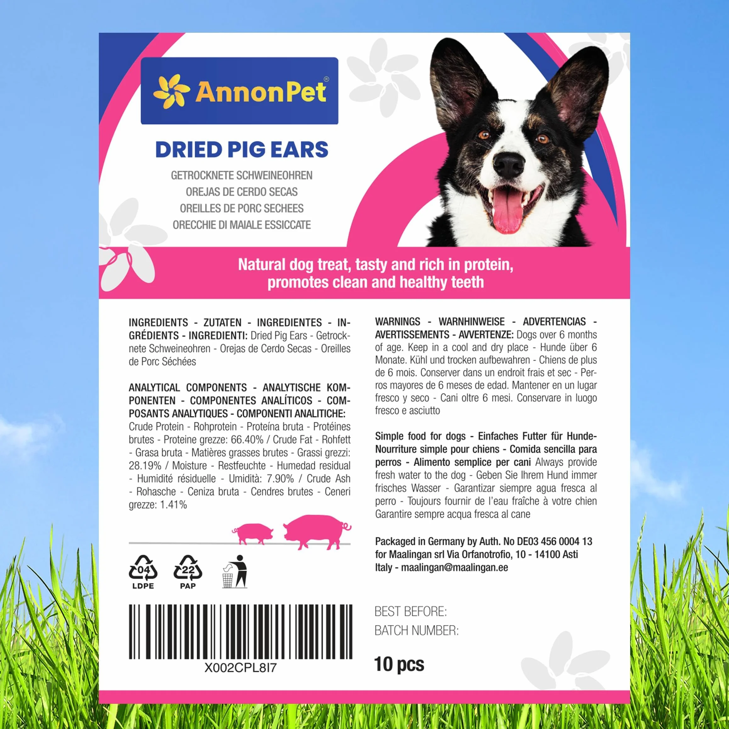Oreilles de porc séchées 10 pièces naturelles Snack à mâcher Riche en protéines Sans additifs