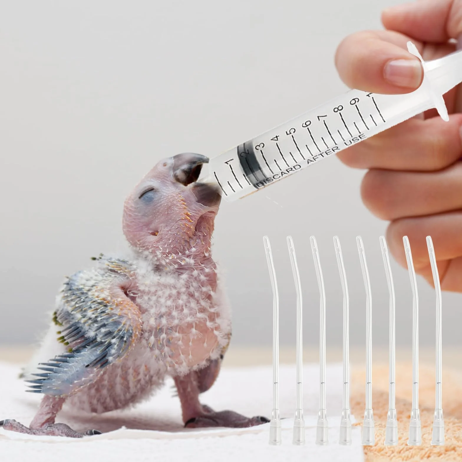 Sondes d'alimentation pour Oisillons 12 Pièces avec Seringues 10 ML pour Perroquets et Petits Animaux