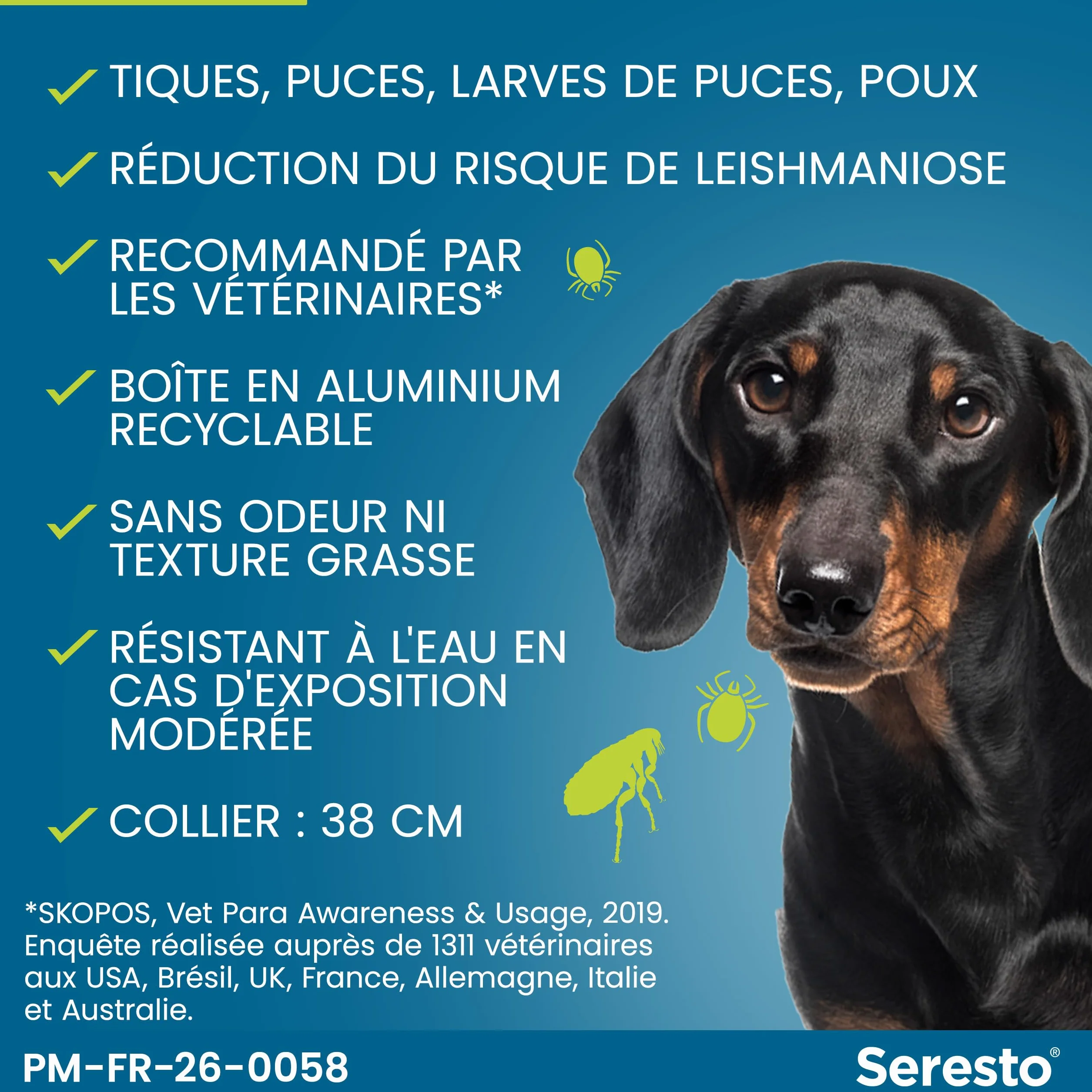 Seresto Collier Petits Chiens 2 Colliers anti puces anti tiques longue durée 7-8 mois Gris