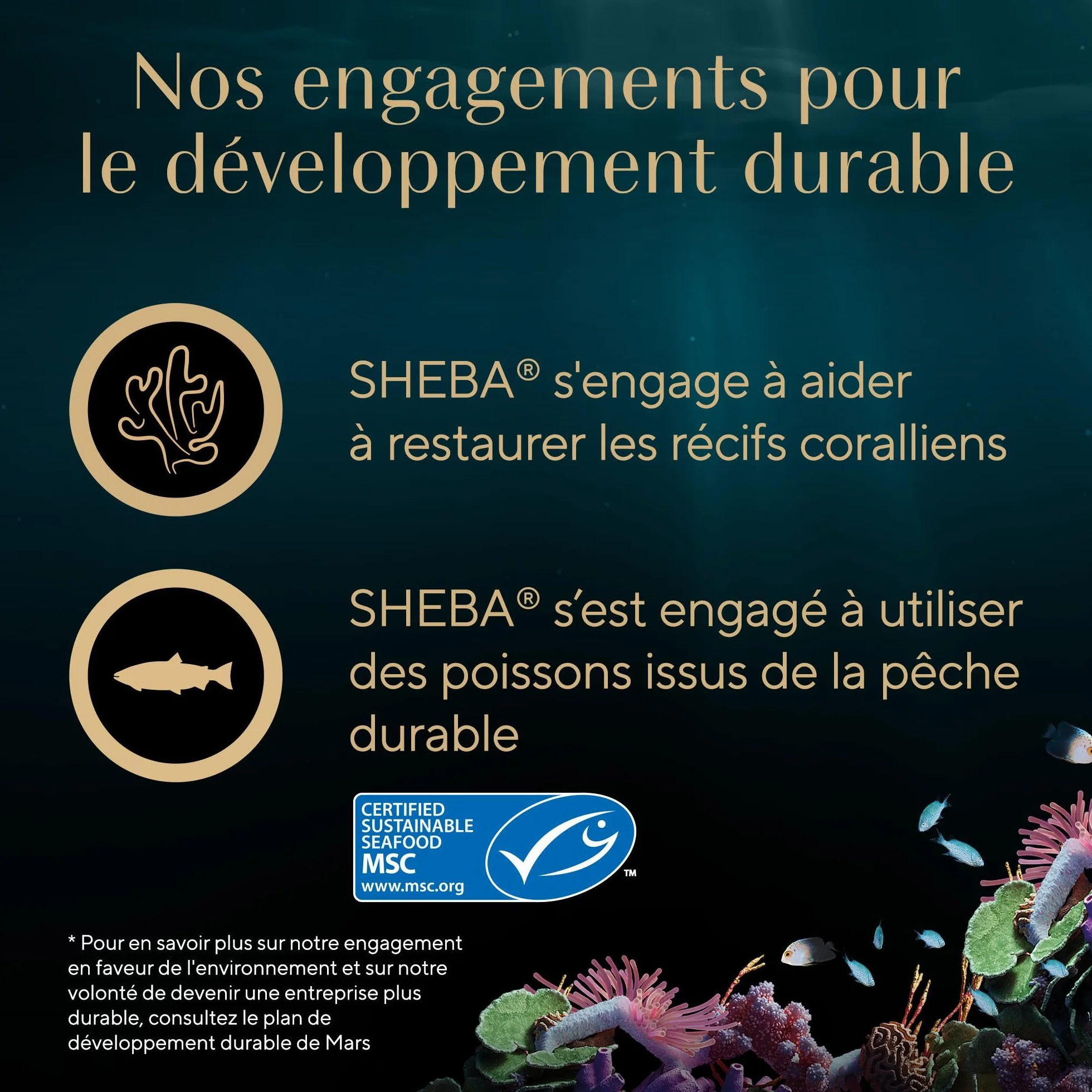 SHEBA Soupe Sachet de Nourriture Humide pour Chat Adulte au Poulet, Pack de 40 (10 x 4 x 40 g)