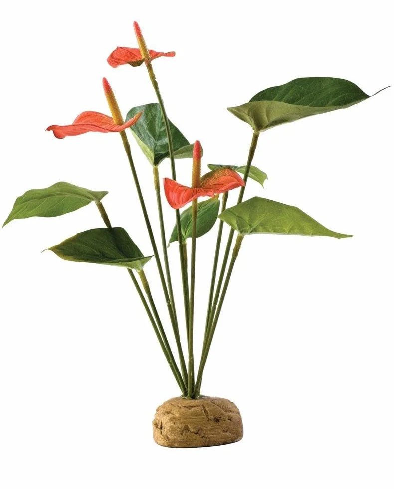 Exo Terra Plante de Décoration pour Reptile Anthurium