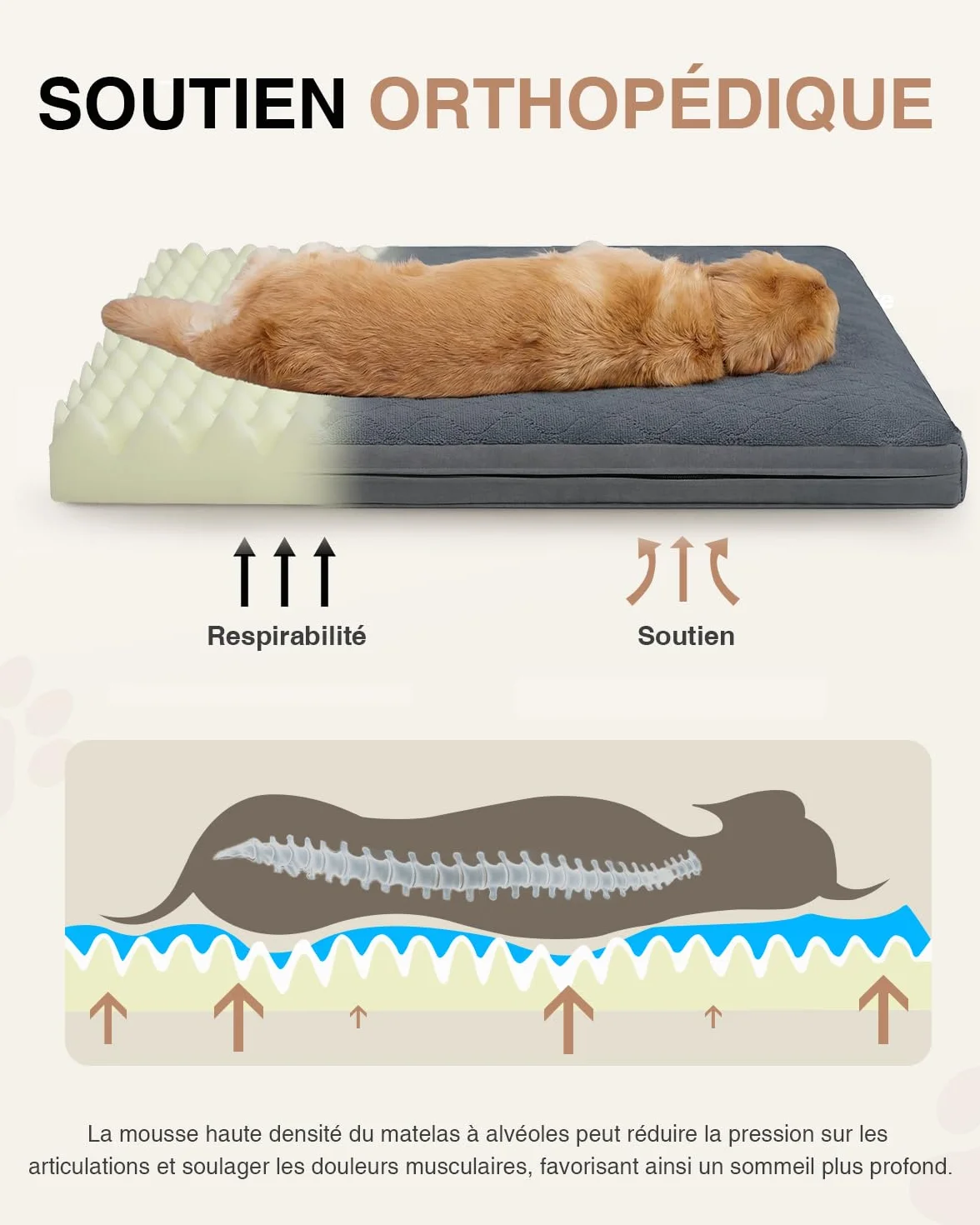Panier Chien Taille Moyenne-88x55x7 Cm, Tapis Chien Imperméable, Une Face en Cuir Synthétique, Coussin Chien Orthopédique Double Face, Doublure Imperméable, Amovible et Lavable, Gris