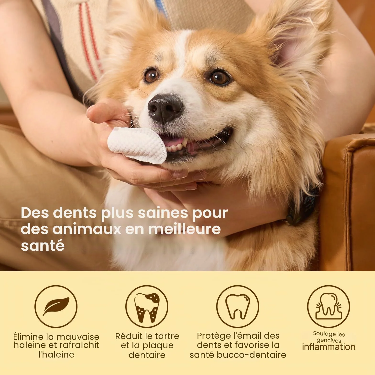 HICC PET Serviettes de nettoyage des dents pour chiens et chats, Enlevez la mauvaise haleine, Brosse à dents à doigts sans rinçage (Minte)