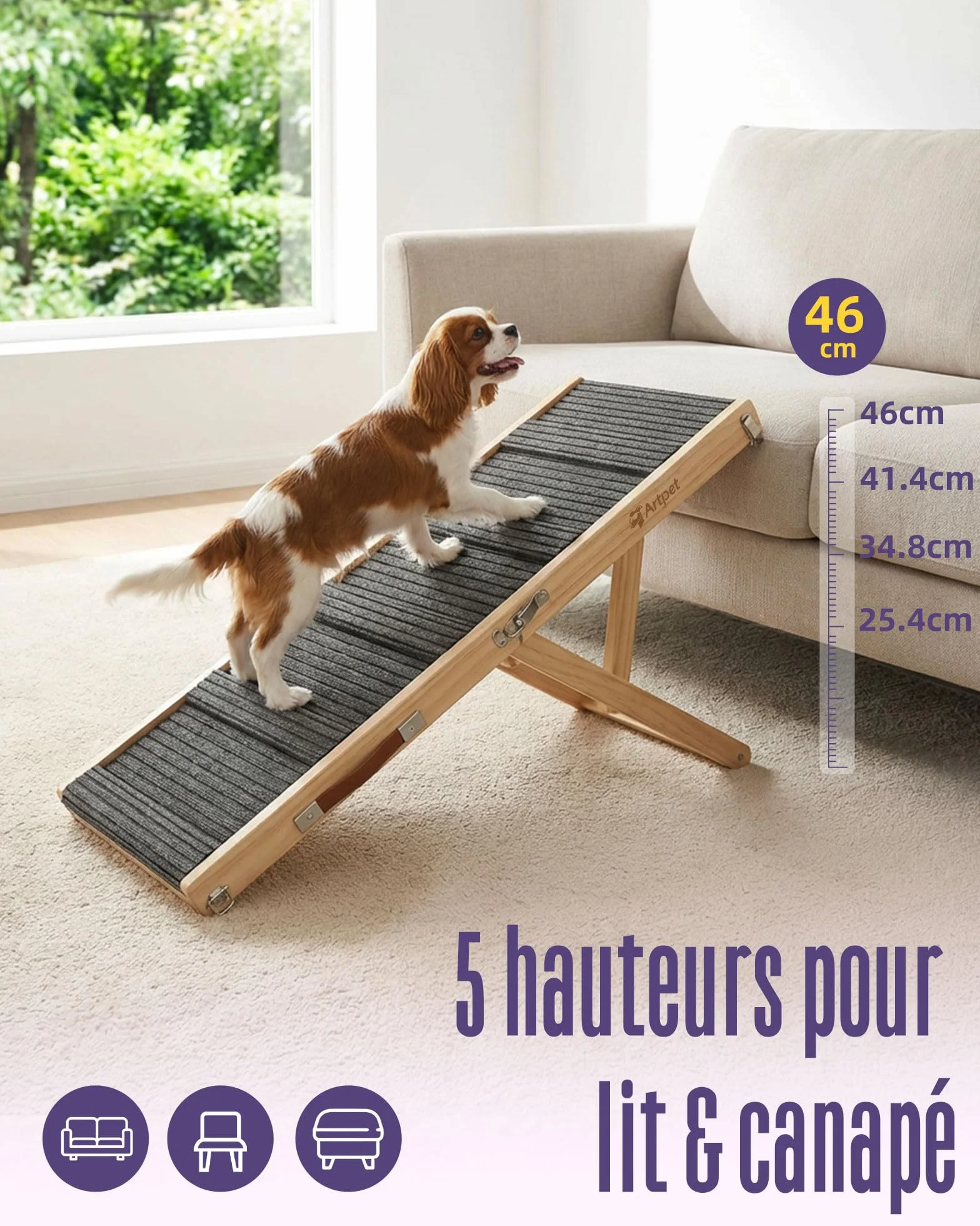 Rampe pliable antidérapante pour chien, hauteur réglable, supporte jusqu'à 15,9 kg