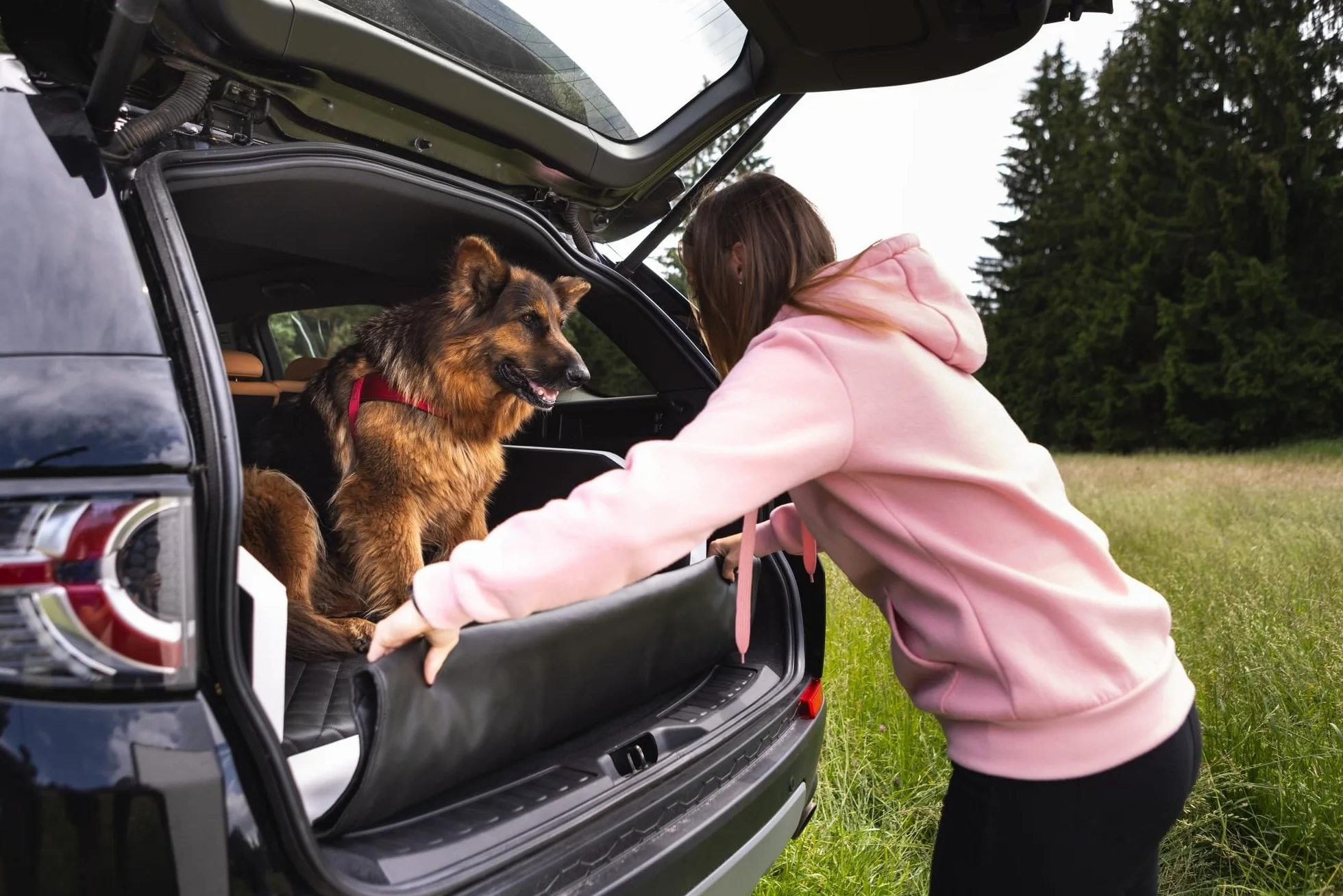 Velinda lit de Coffre, Transporteur de Voiture pour Le Chien avec Matelas de 90x55 cm (Couleur: Noir)