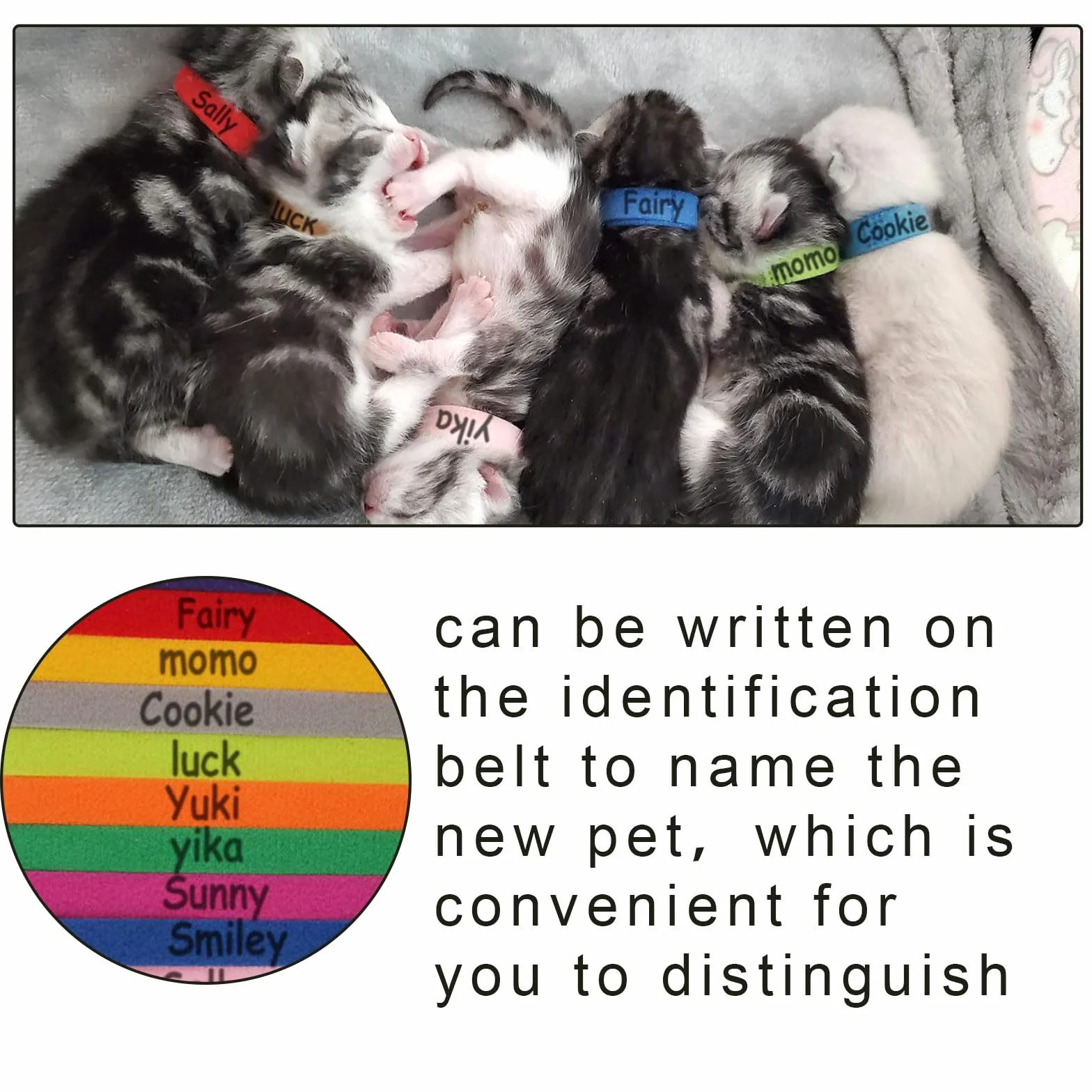 Colliers d'identification pour chiots réglables - Lot de 12 couleurs