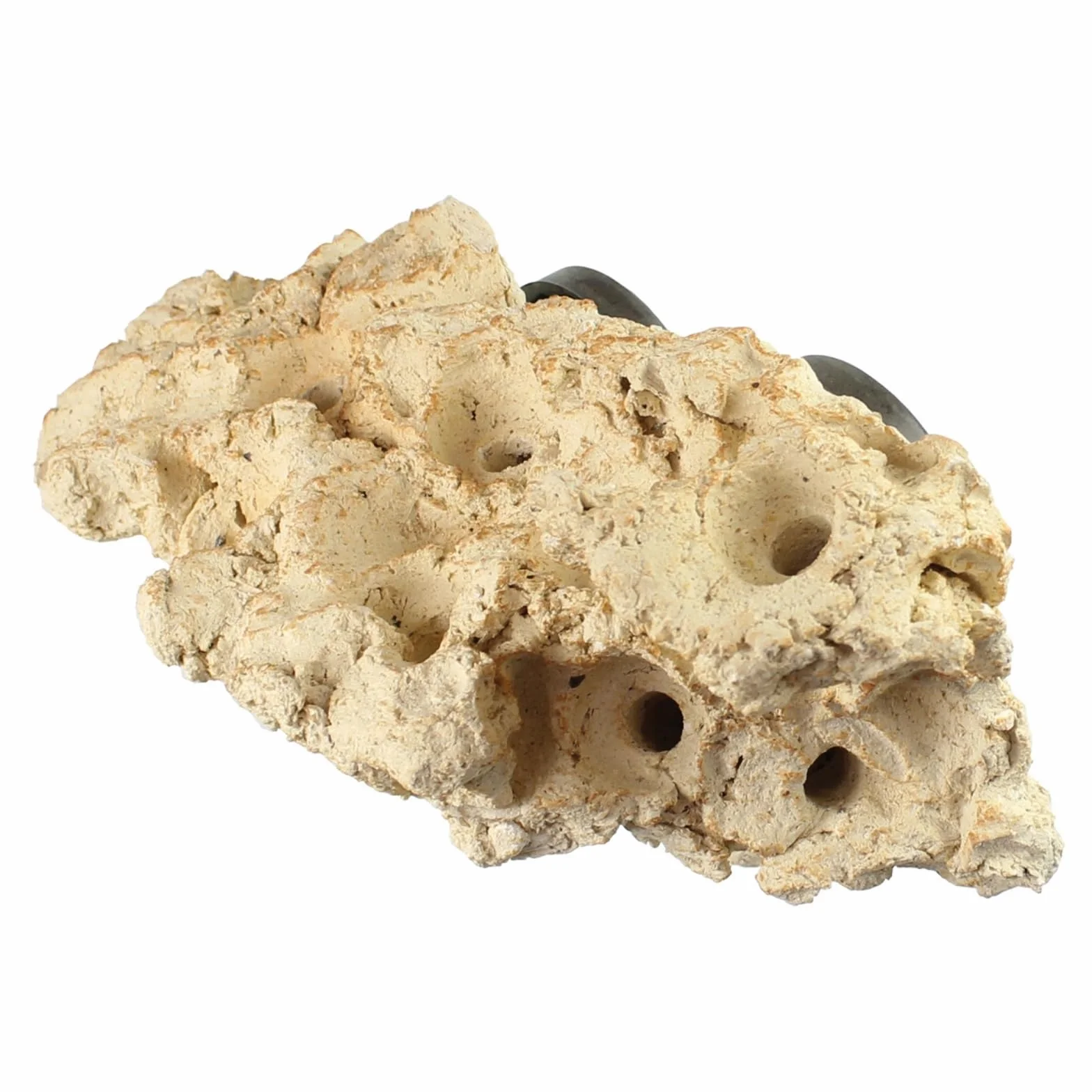Tunze Coral Rack Long 0104.820