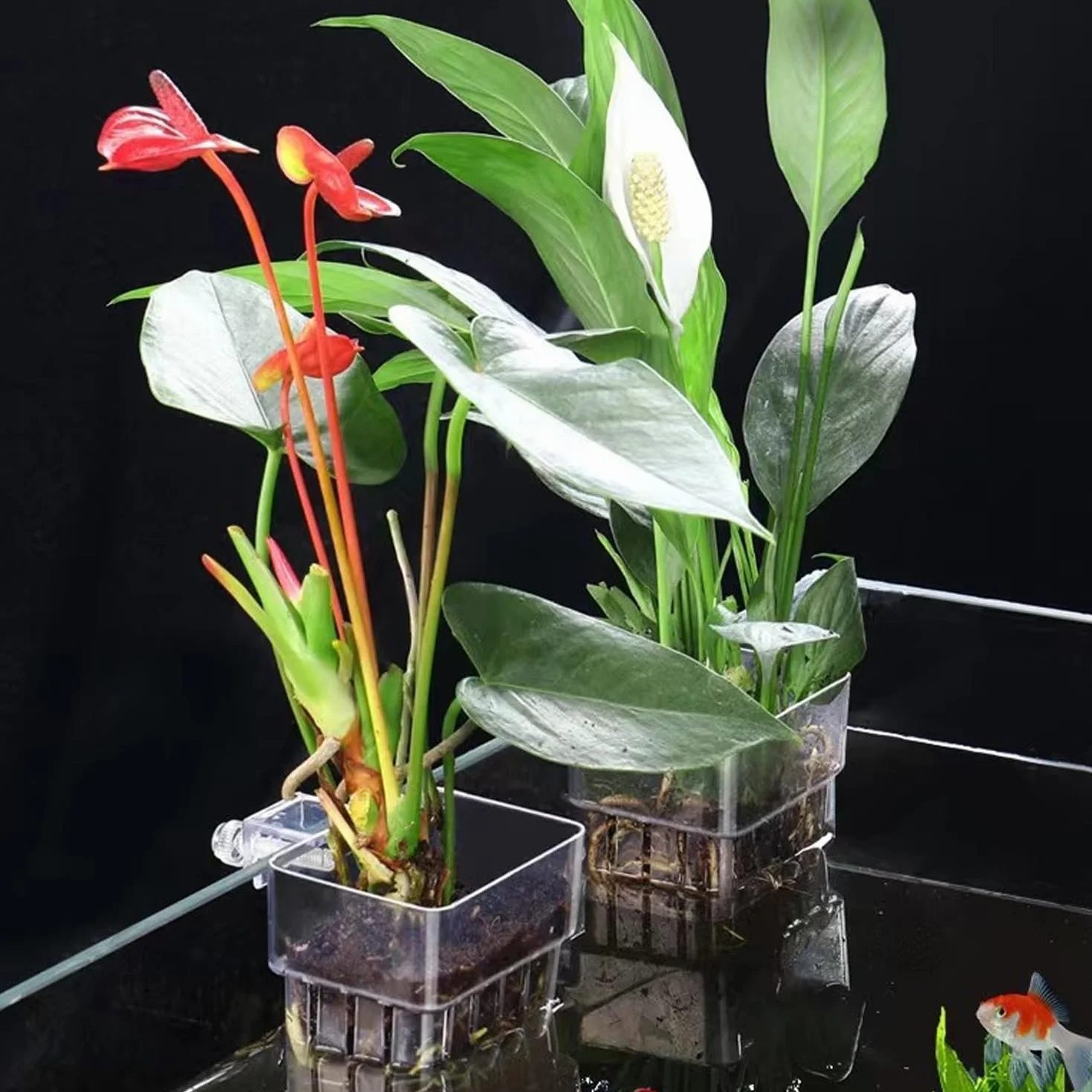 Support Plante D'Aquarium, Pot pour Plantes D'Aquarium, Acrylique Transparent Tasses Panier pour Plantes Aquatiques Suspension, Décoration pour Aquarium, 2 Pièces