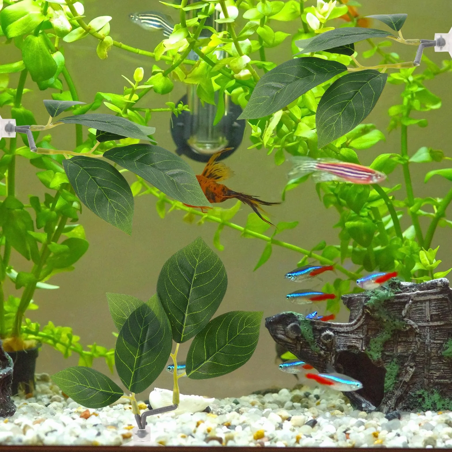 Lot de 6 Hamacs en Feuilles Betta avec Ventouses pour Aquarium Décoration Réaliste