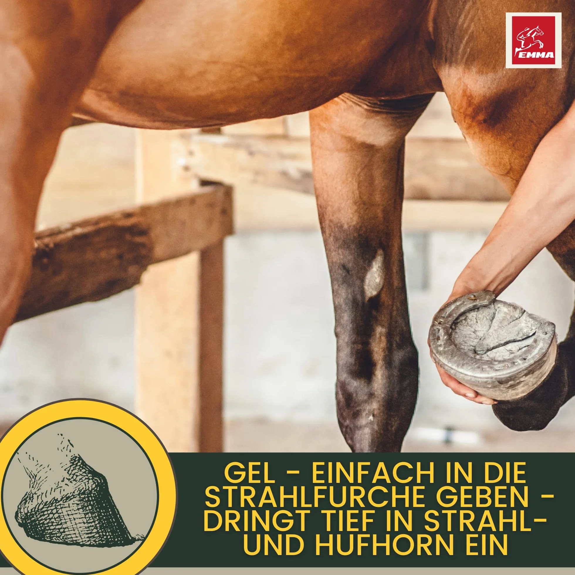 Soin de la fourchette pour chevaux I Protection de la fourchette Soin du sabot I Sabot, fourchette, semelle I Gel de fourchette I Prévention de la pourriture de la fourchette I contre l'humidité 100ml