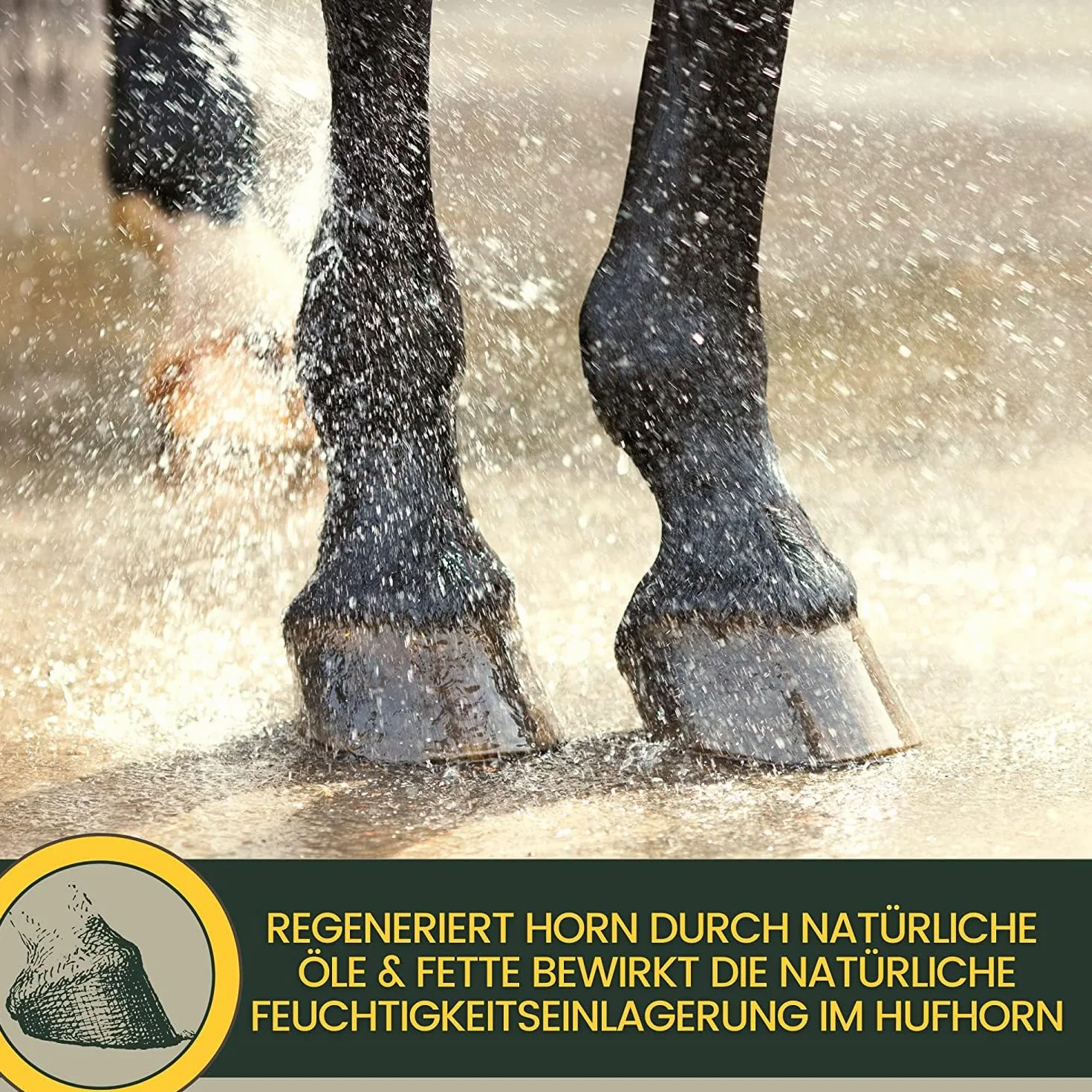 EMMA Shampoing pour chevaux I Kit d'entretien poney I Shampoing chevaux Fourrure Crinière Queue Rose & Parfum I Graisse de sabot pour chevaux rose I Baume pour sabots pour chevaux I Cadeau pour