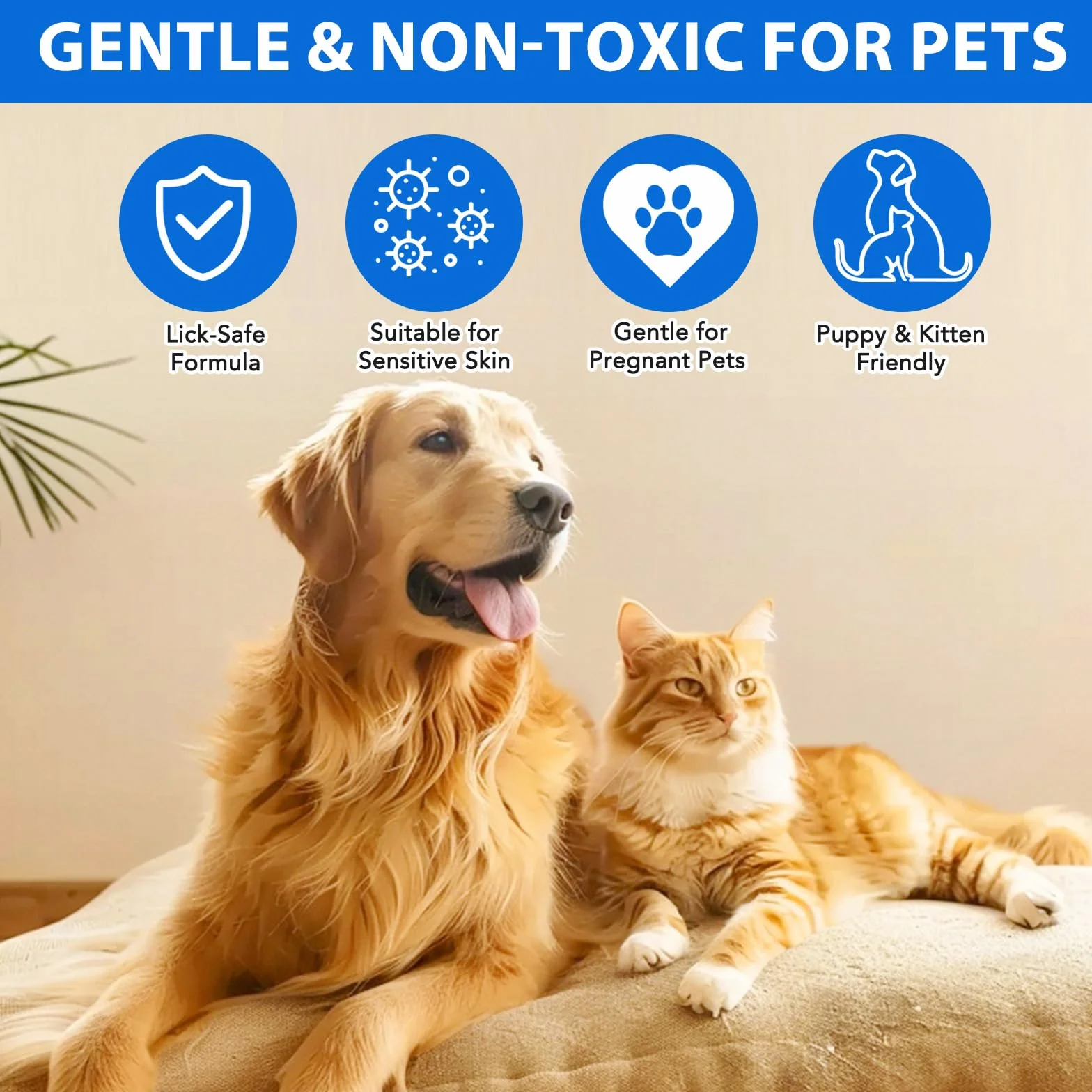 Spray Soin Plaies Chiens Chats 120 ml Anti Demangeaison Anti Allergie Infections Cutanées