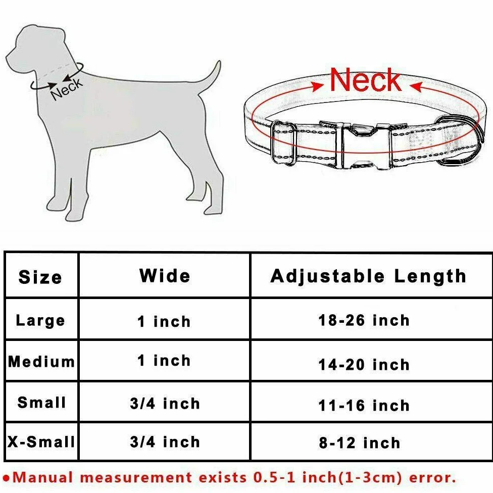 Chien Laisse Réglable en Nylon Cool Collier De Chien Personnalisé Sculpté Nom Téléphone Bleu Pitbull Personnalisé Colliers De Chien Accessoires De Chien Tag-Rosey_Set_M