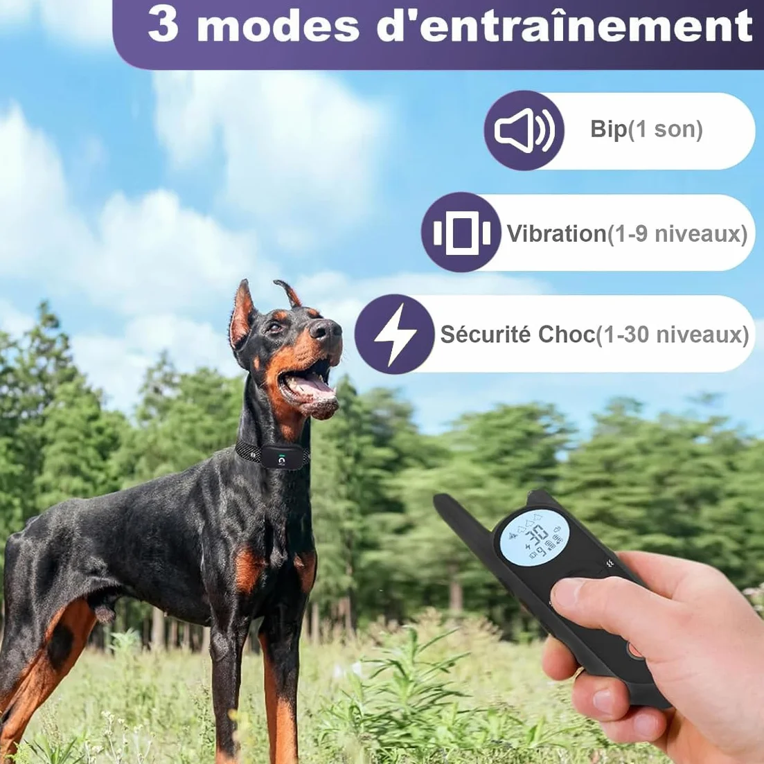 Clôture Électronique pour Chien 8M-1050M Ajustable avec Télécommande de Dressage Résistant à l'Eau Collier