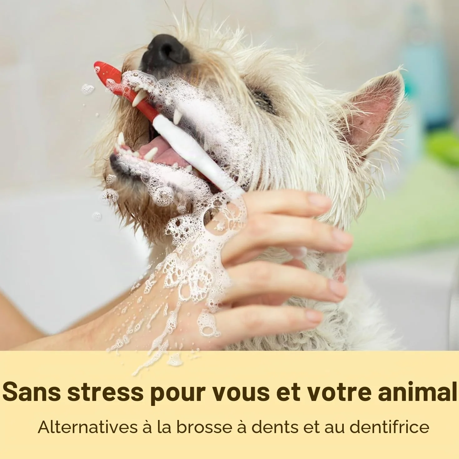 HICC PET Serviettes de nettoyage des dents pour chiens et chats, Enlevez la mauvaise haleine, Brosse à dents à doigts sans rinçage (Minte)