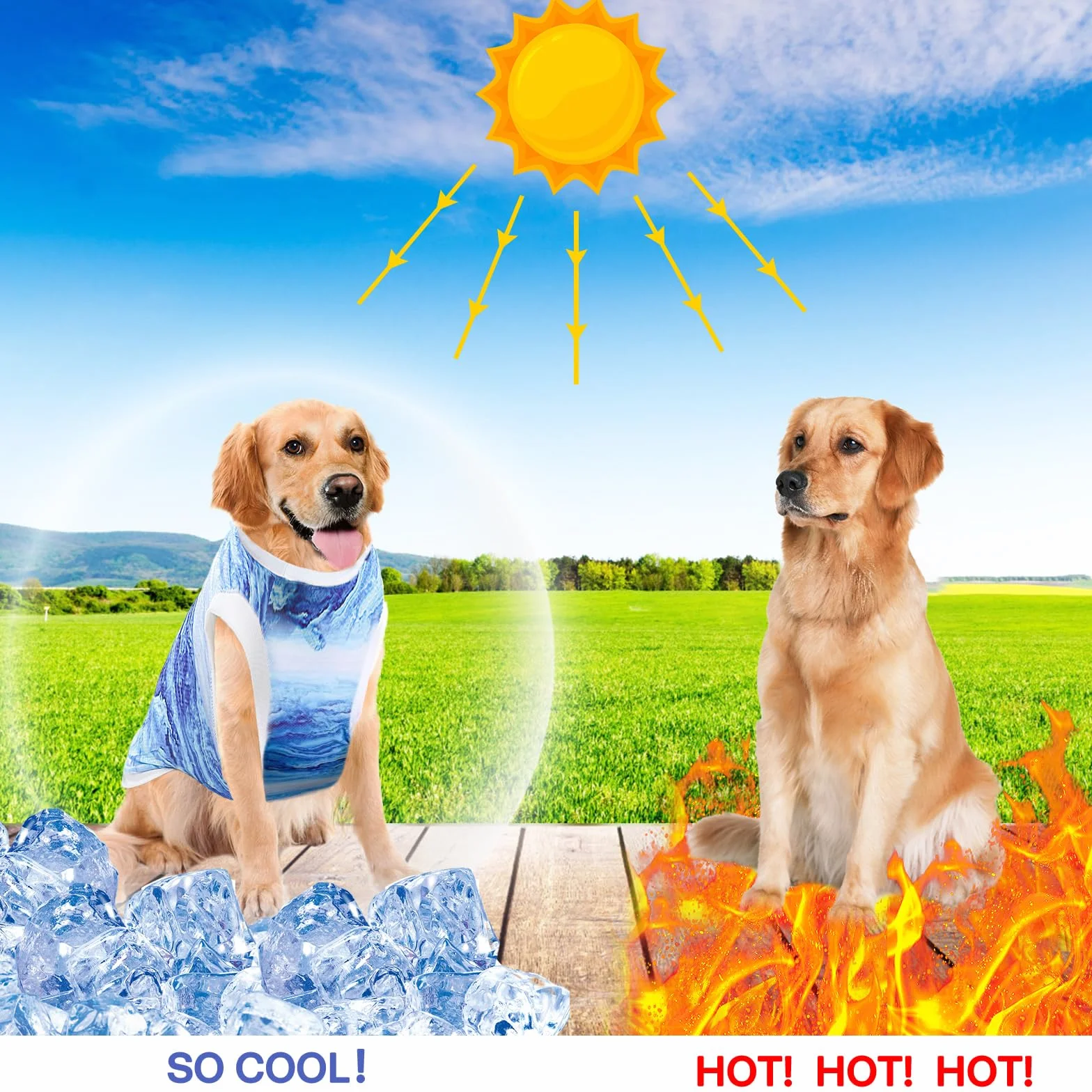 Gilet Rafraîchissant pour Chien, Veste de Refroidissement Respirante Bleu L