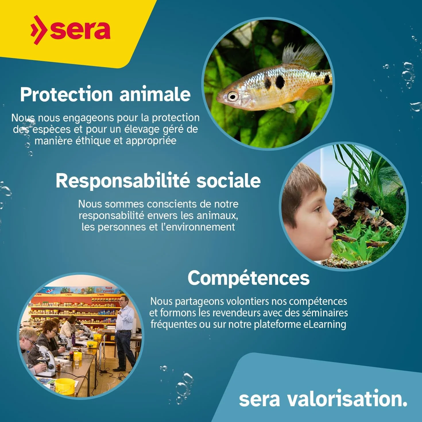 Sera pH Test 15ml Kit de Mesure du pH pour Aquariums et Bassins avec Éprouvette et Seringue