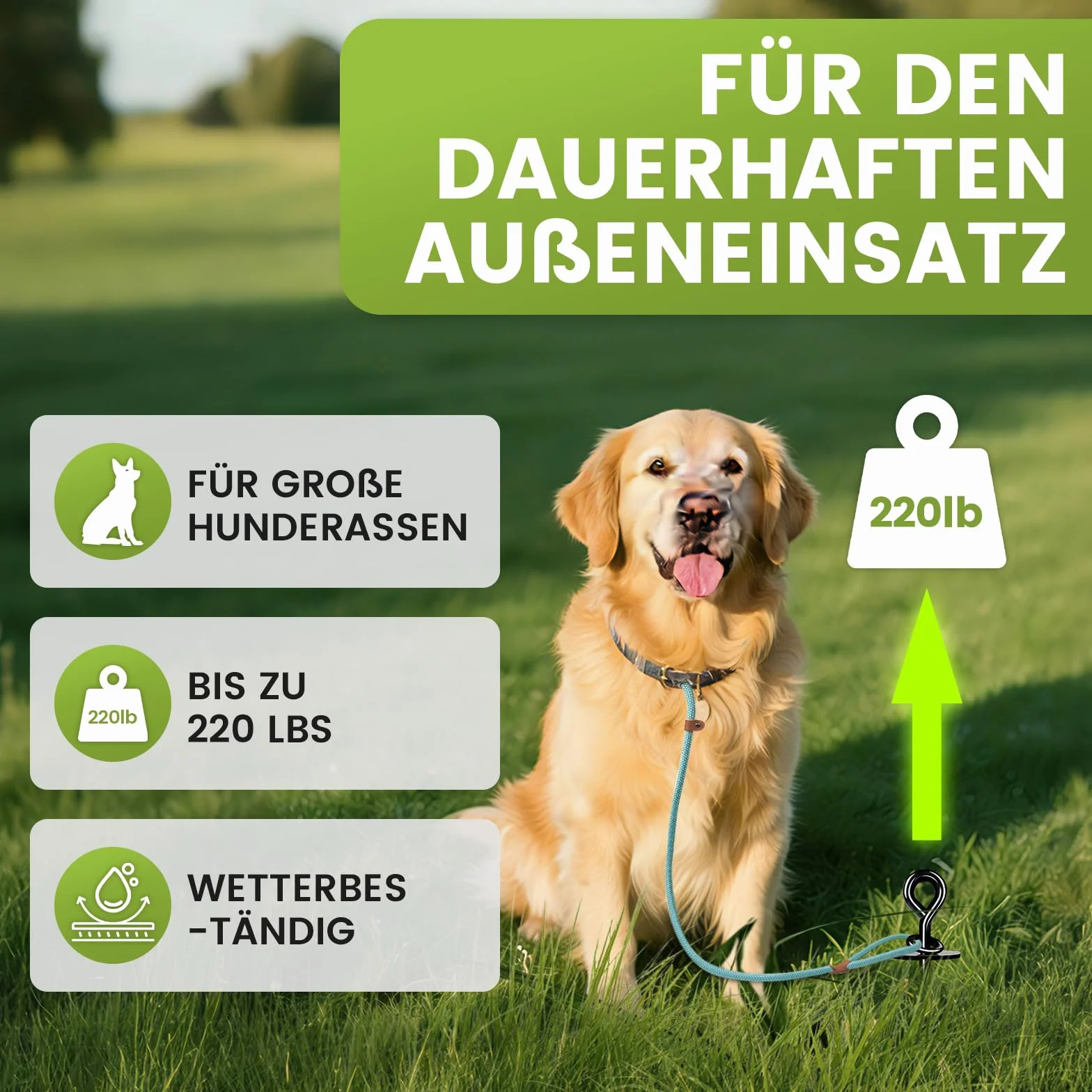 Piquet Ancrage pour Chien 360° 220lbs, Piquet Patio Camping Plage Noir
