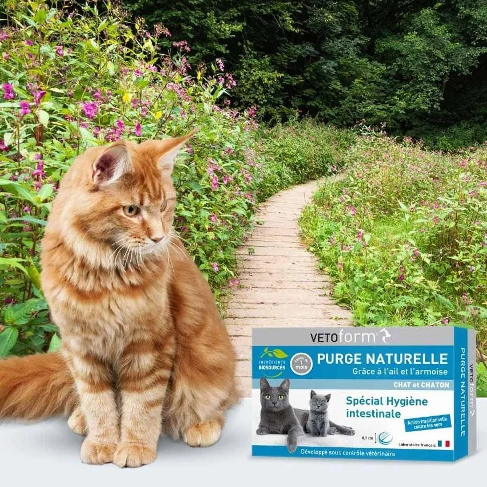Vetoform Purge Naturelle Chat et Chaton 20 Comprimés