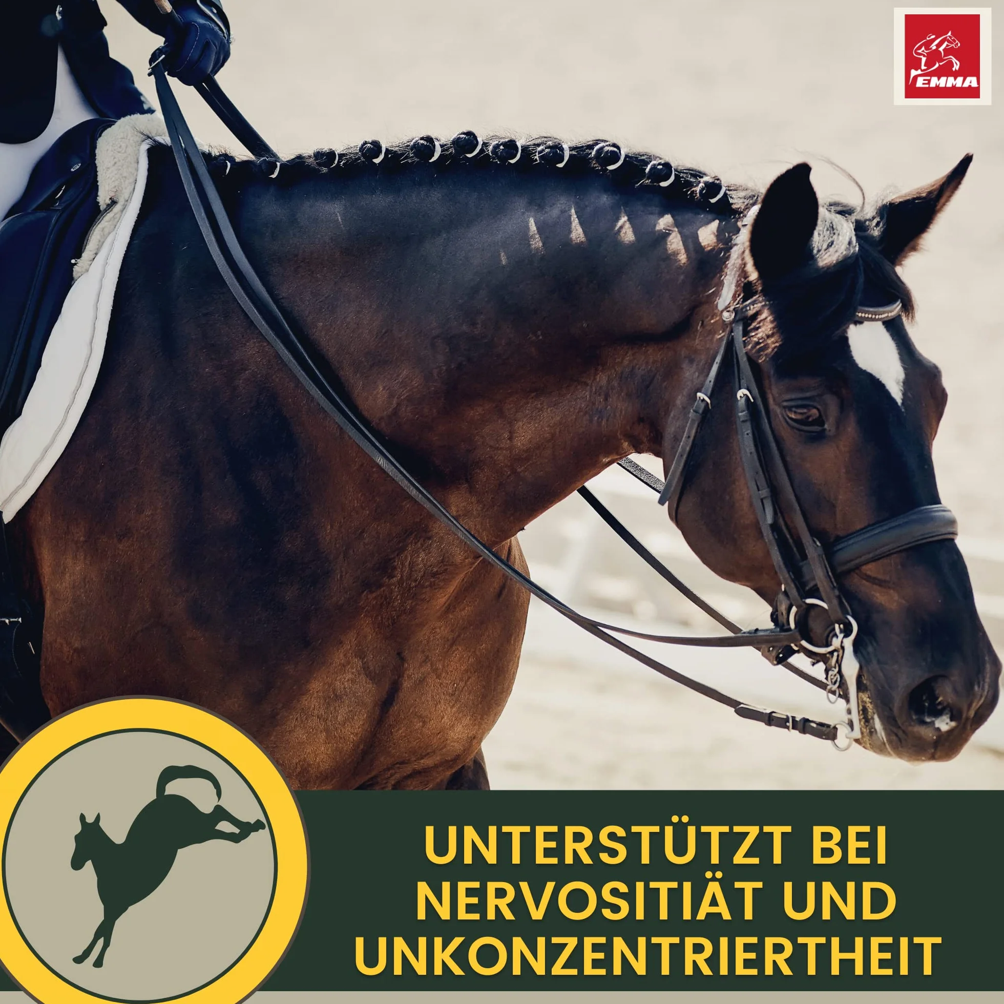 Magnésium Cheval 2 * 30ml Pâte calmante pour Chevaux Calm Relax Booster I Anti-Stress calmant nerveux L-tryptophane I en Cas d'anxiété Transport I Pâte de magnésium sérénité Cheval nerveux Haute Dose