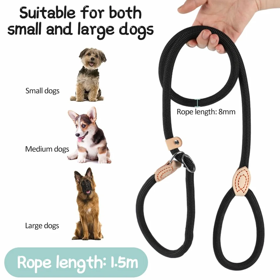 Laisse de retriever robuste résistante aux intempéries 150 cm avec arrêt de traction