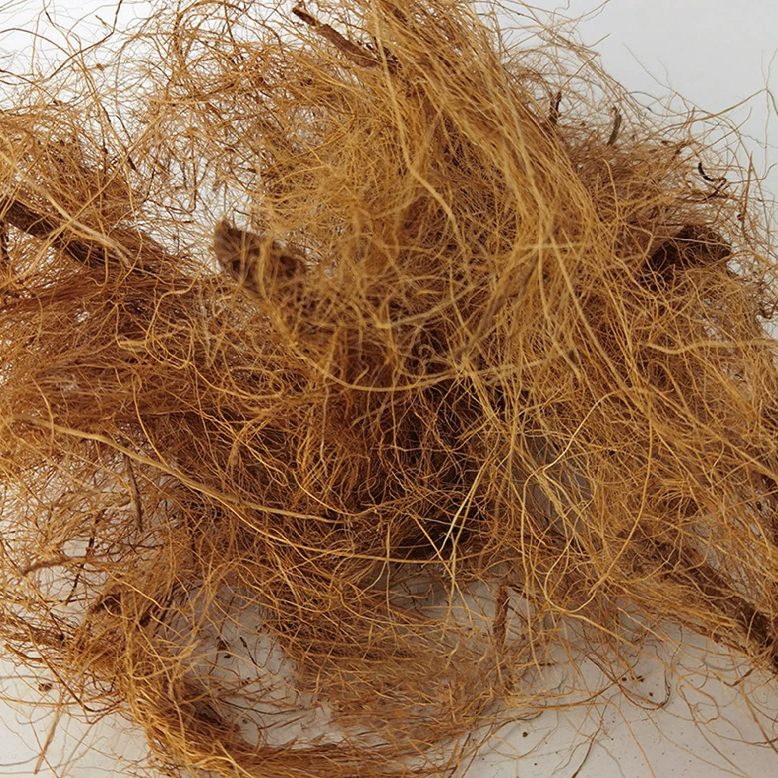 Nid en Coco 250g/500g Matériel Nidification pour Oiseaux - Cage à Oiseaux