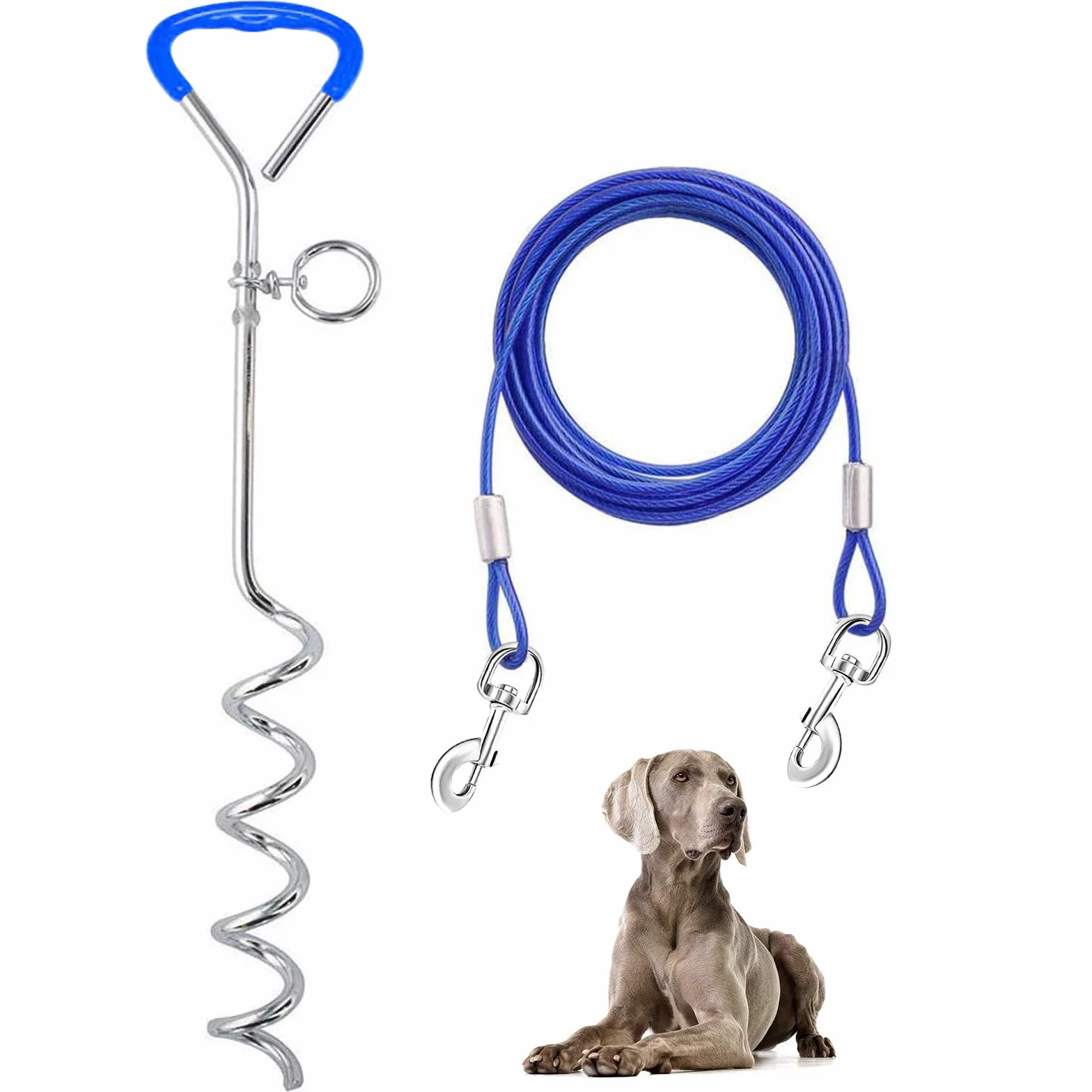 Supet Set Câbles et Piquets d'attache pour Chien en Acier Inoxydable pour Exterieur Jardin Cour