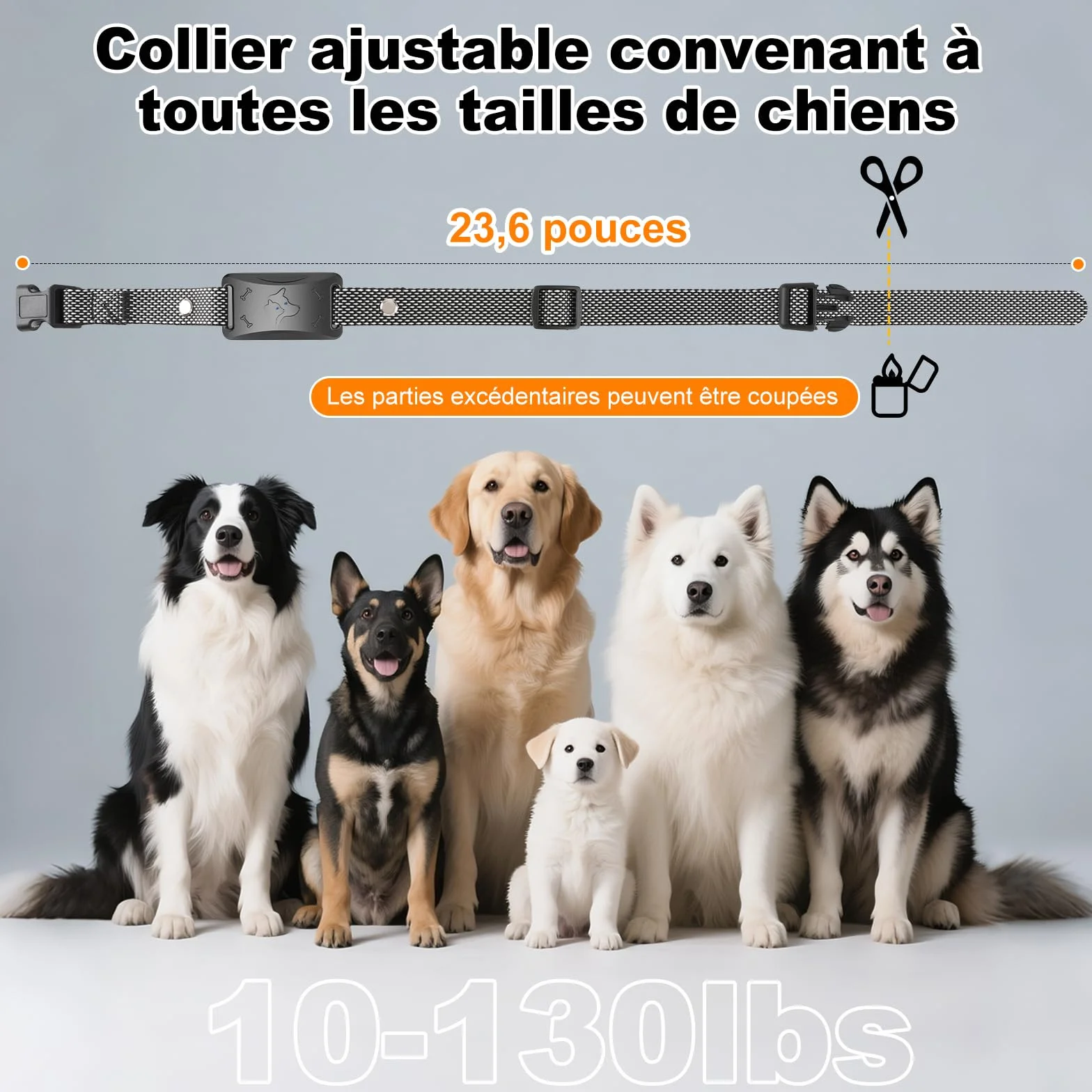 Collier de Dressage pour Chien IPX7 Résistant à L'Eau, 4 Modes avec Verrouillage de Sécurité, Noir