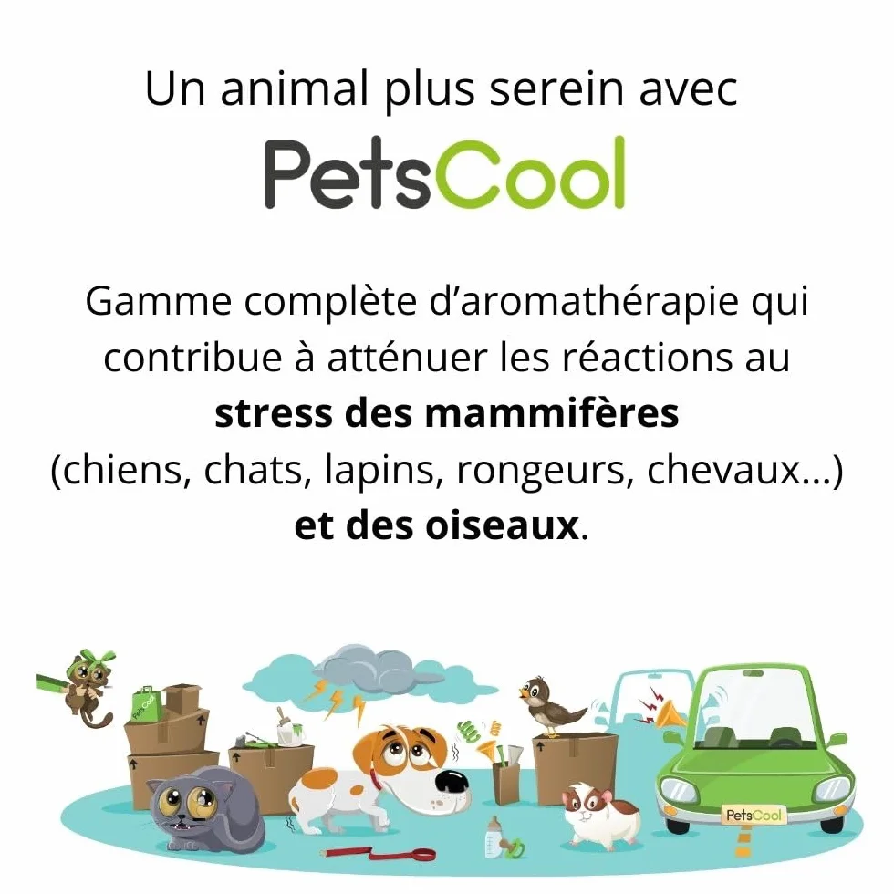 Anidev PetsCool Spray apaisant 15 ML - Anti Stress Chien Chat NAC - Huiles essentielles valériane vétiver Sauge Basilic - Action Rapide Inhalation Multi espèces