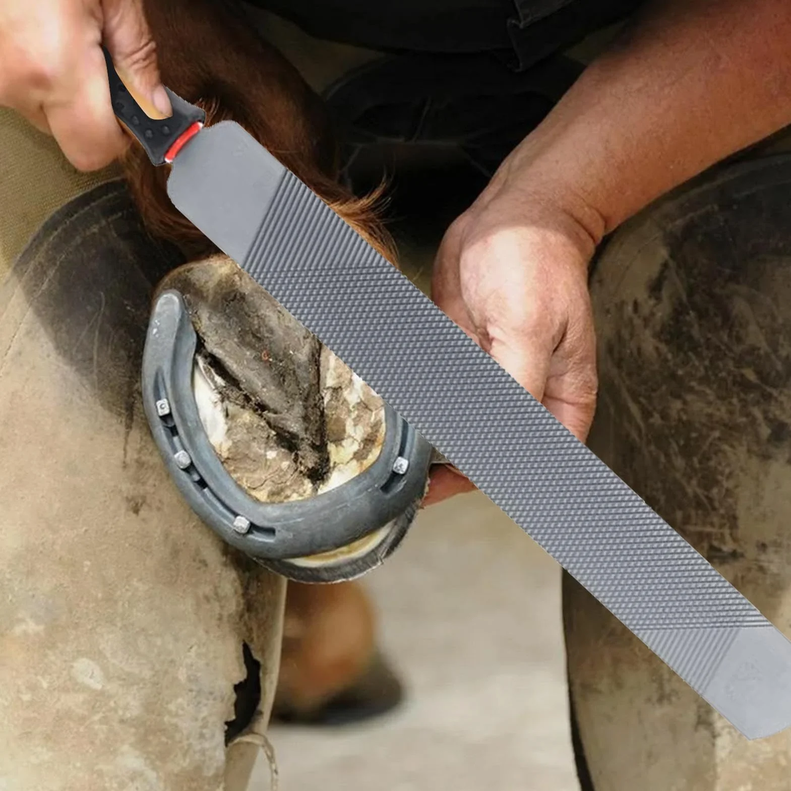 Genérico Horse Hoof Rasp - Premium Carbon Steel Hoof Rasp | Hoof File Carbon Steel Farrier Tools | Double Sided Hoof Rasp For Horses | Minii Hoof Rasp Hoof Rasp For Goat Horse Hoof Care