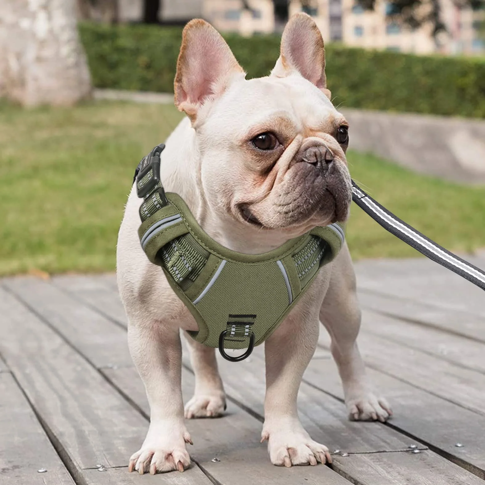 Harnais Chien Anti Traction Réfléchissant pour Moyen Grand Chien avec Poignée Rembourrée, Vert, M