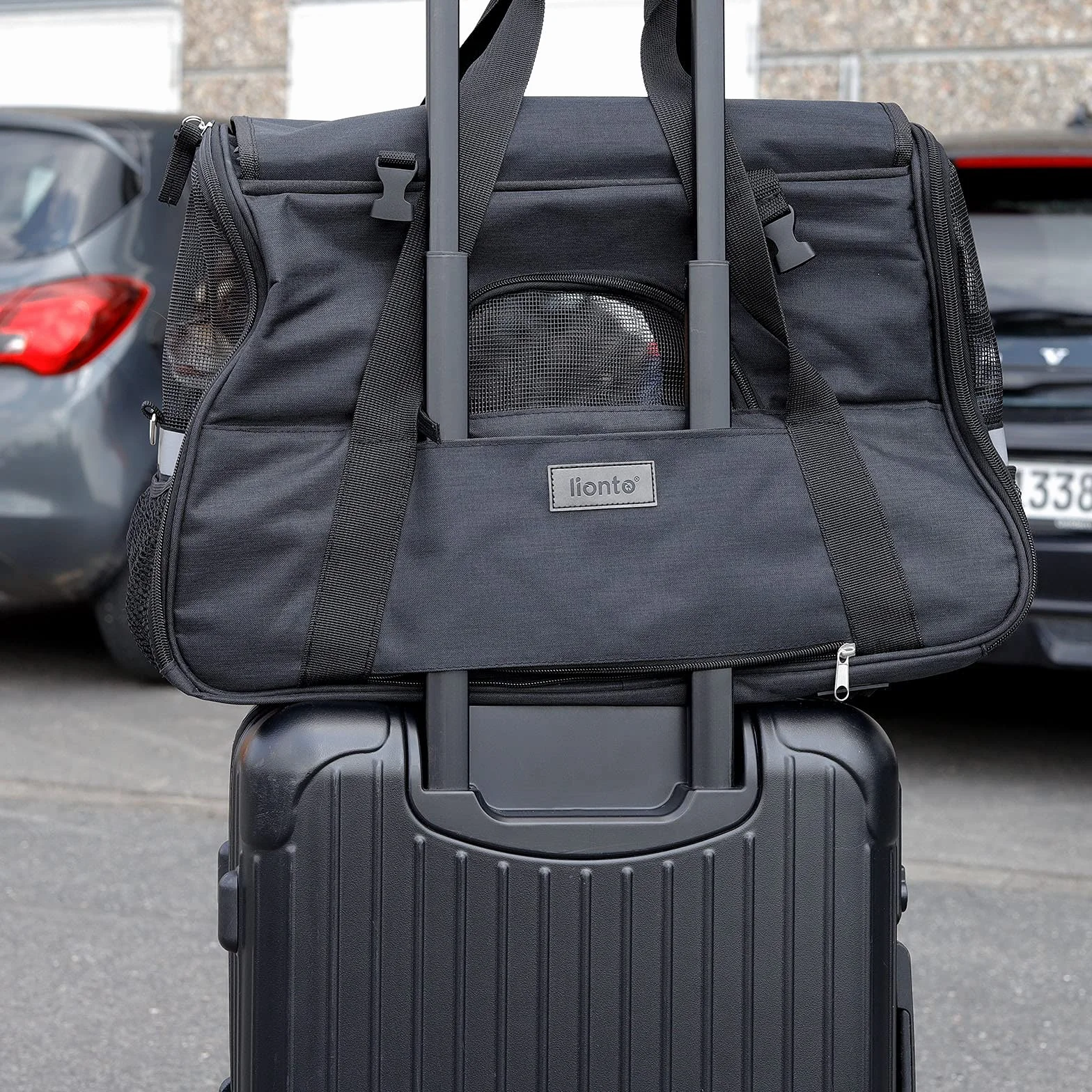 lionto Caisse de Transport Pliable pour Chien avec poignées et bandoulière, 48,5x27x31,5 cm, en Tissu Oxford Robuste et Maille, Caisse pour Chat avec Coussin Doux, idéale pour l’Avion, Noire