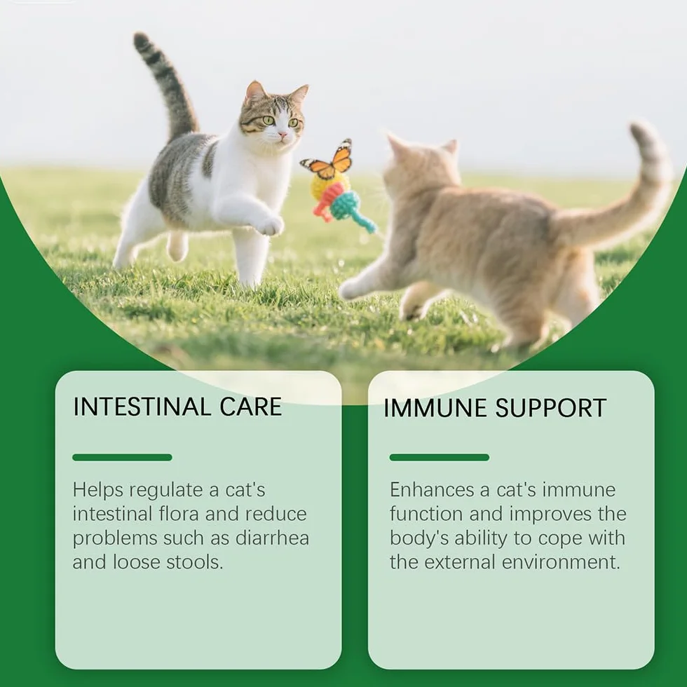 Fengyang Gouttes Probiotiques pour Chats, Constipation Reltf, Soulagement Doux, Digestion Saine