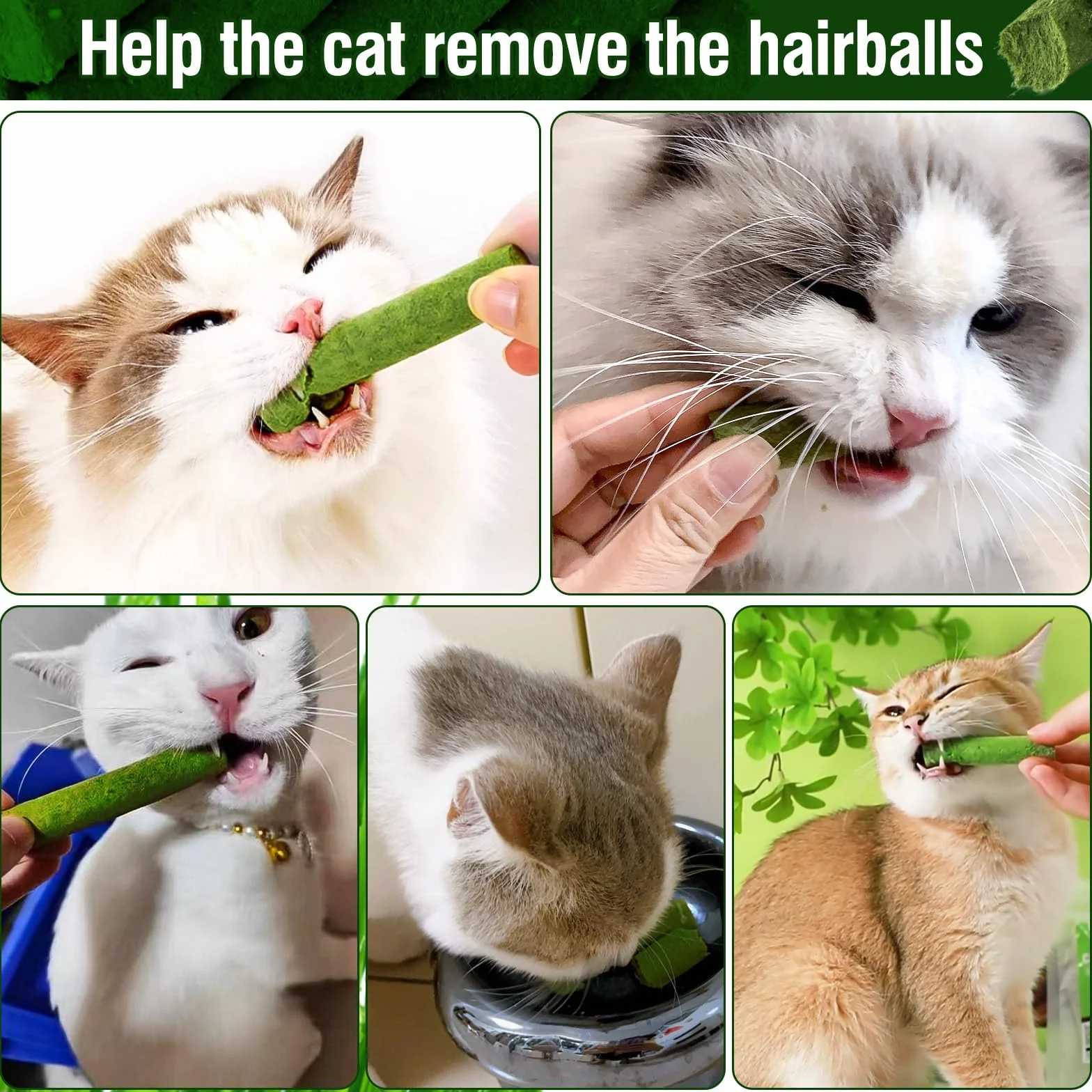 Herbe À Chat Bâton De Dentition 120g Jouet À Mâcher pour Chat