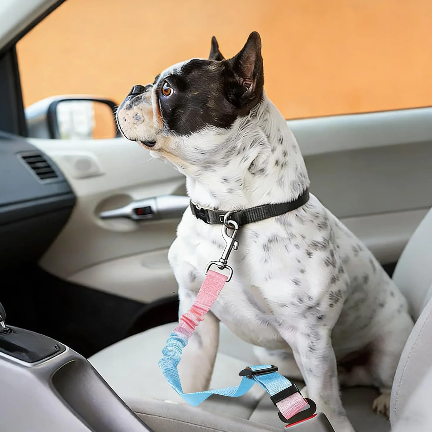 Réglable Ceinture Securite Chien Voiture - 1 Pièce, Bleu Rose Dégradé, Elastique Attache Chiens Voitures, Adaptée à Tous Les Types d'animaux et de Modèles de Véhicules