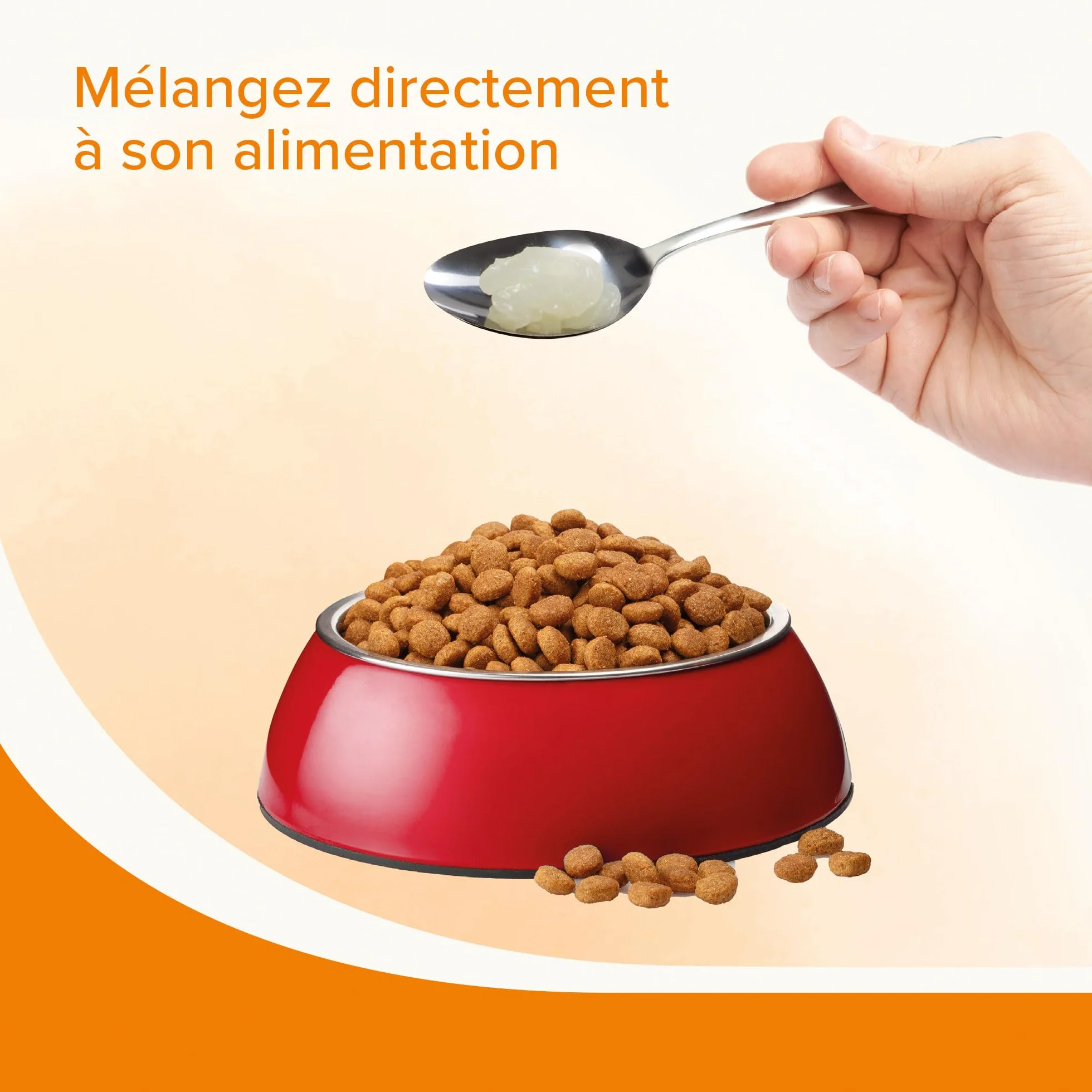 BEAPHAR Graisse de Mouton pour Chien Aliment Complémentaire Omégas 3 et 6 430 ML